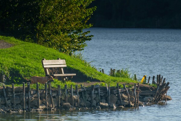 Pécs, Malomvölgyi tó, Hungary