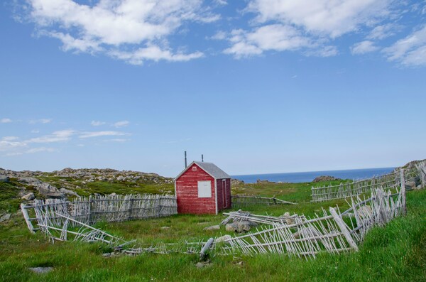 Looking For Icebergs In Bonavista, Newfoundland