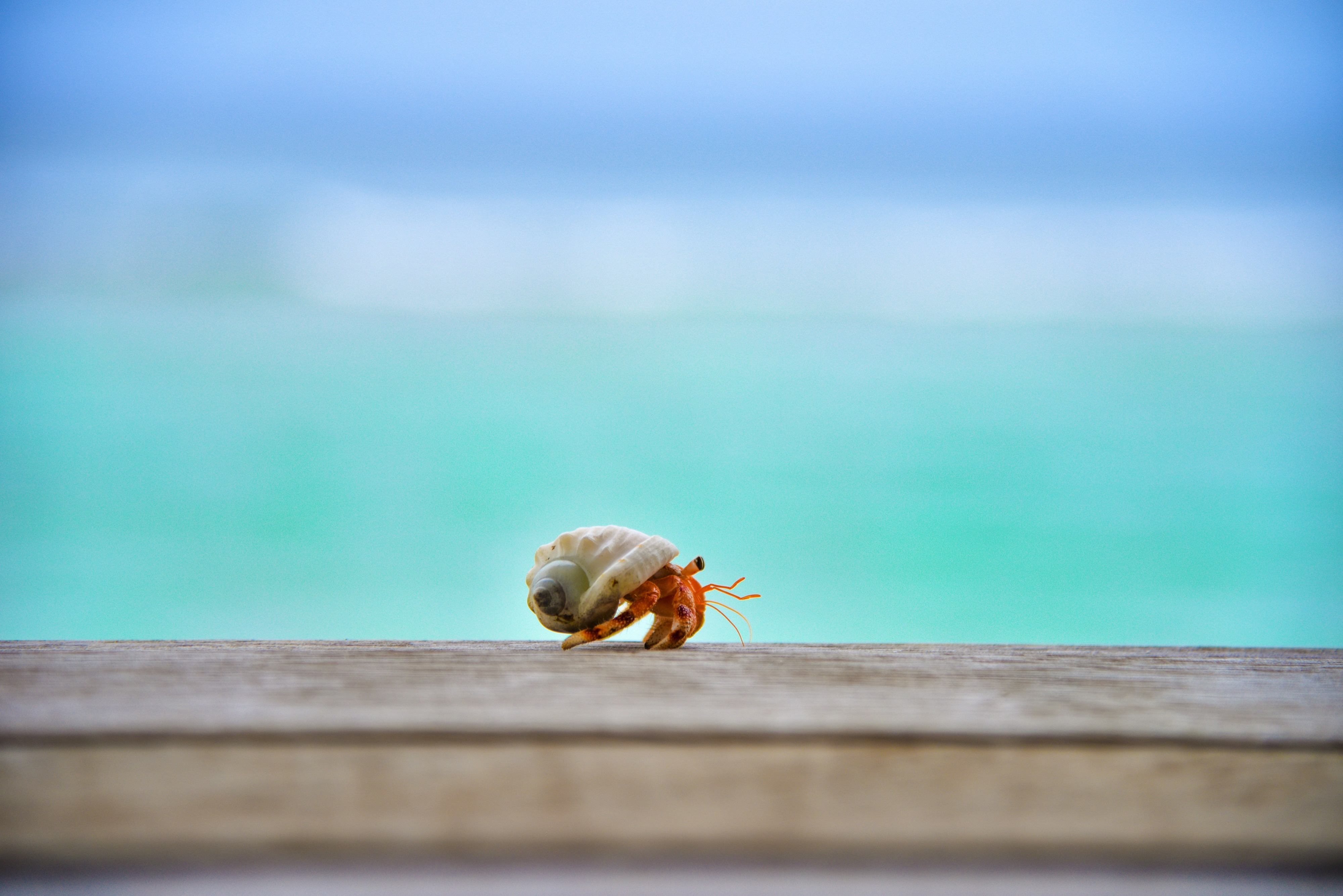 Anantara Veli Maldives Resort, South Male Atoll, Maldives