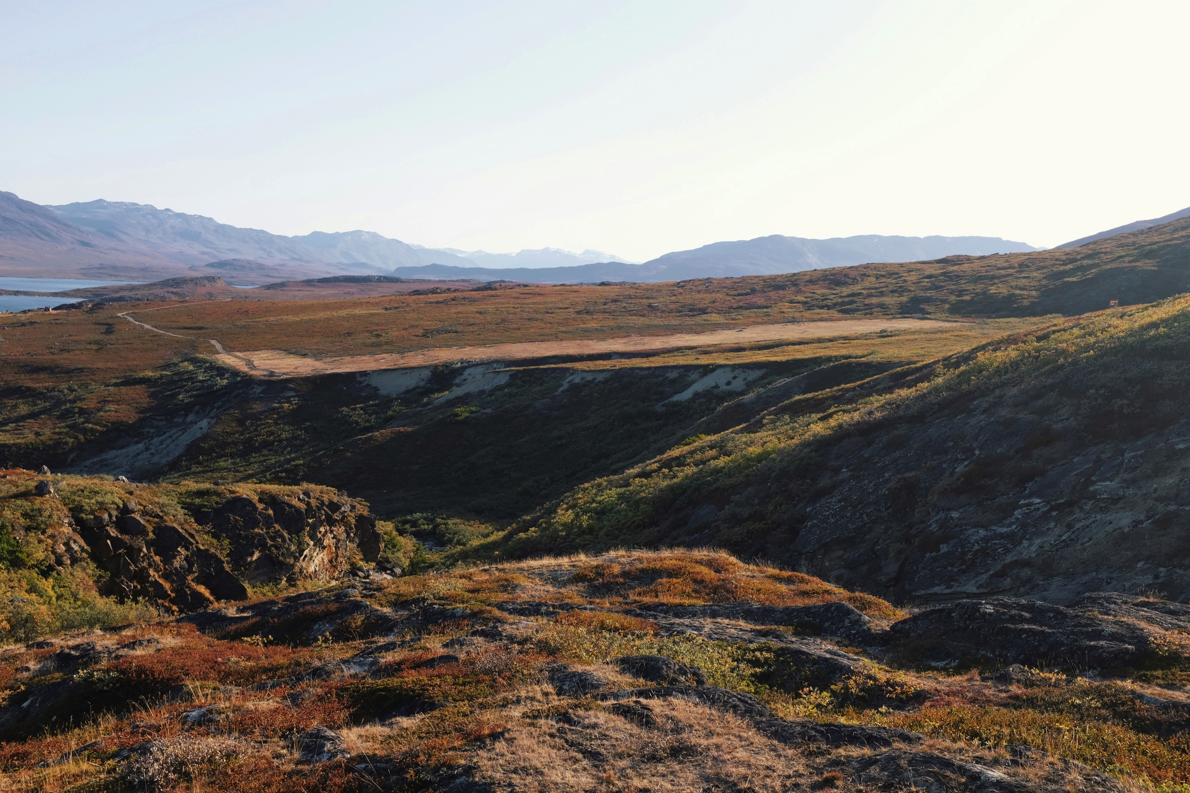 Kapisillit, Grønland