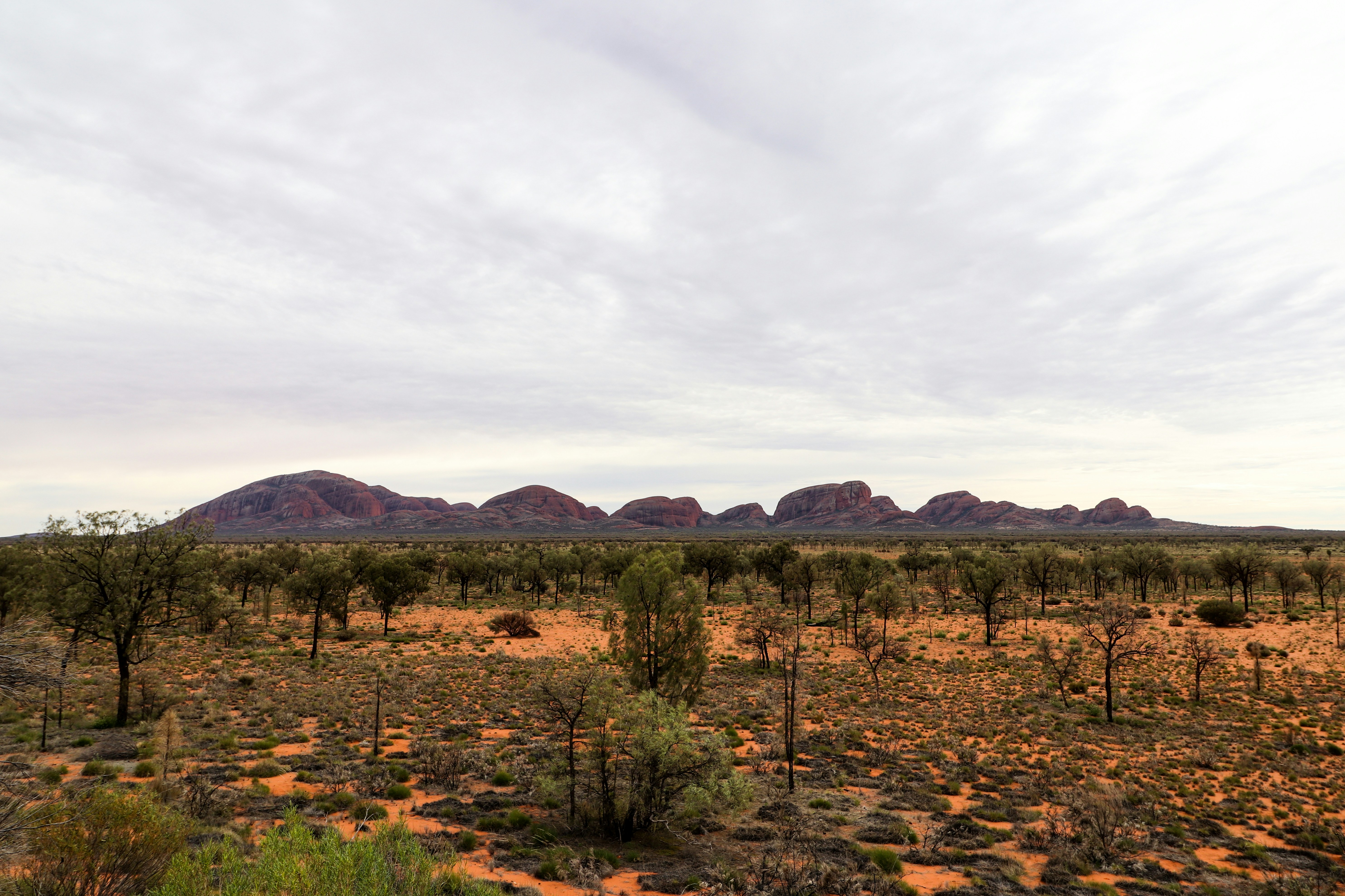 Kata Tjuta Mount Olga, Petermann NT, Australia