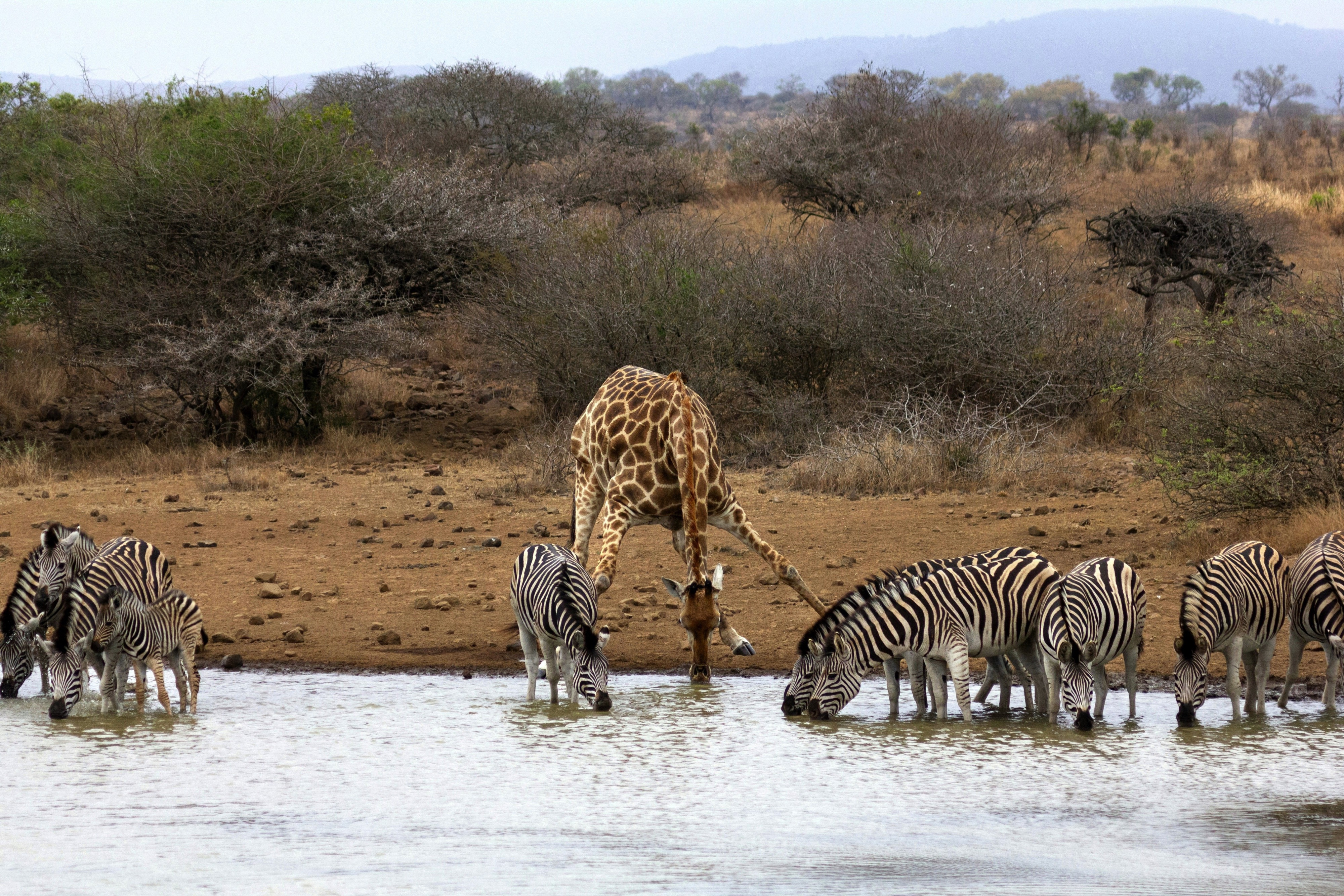 MKUZE GAME RESERVE, Kingfisher Ave, Mkuze, South Africa