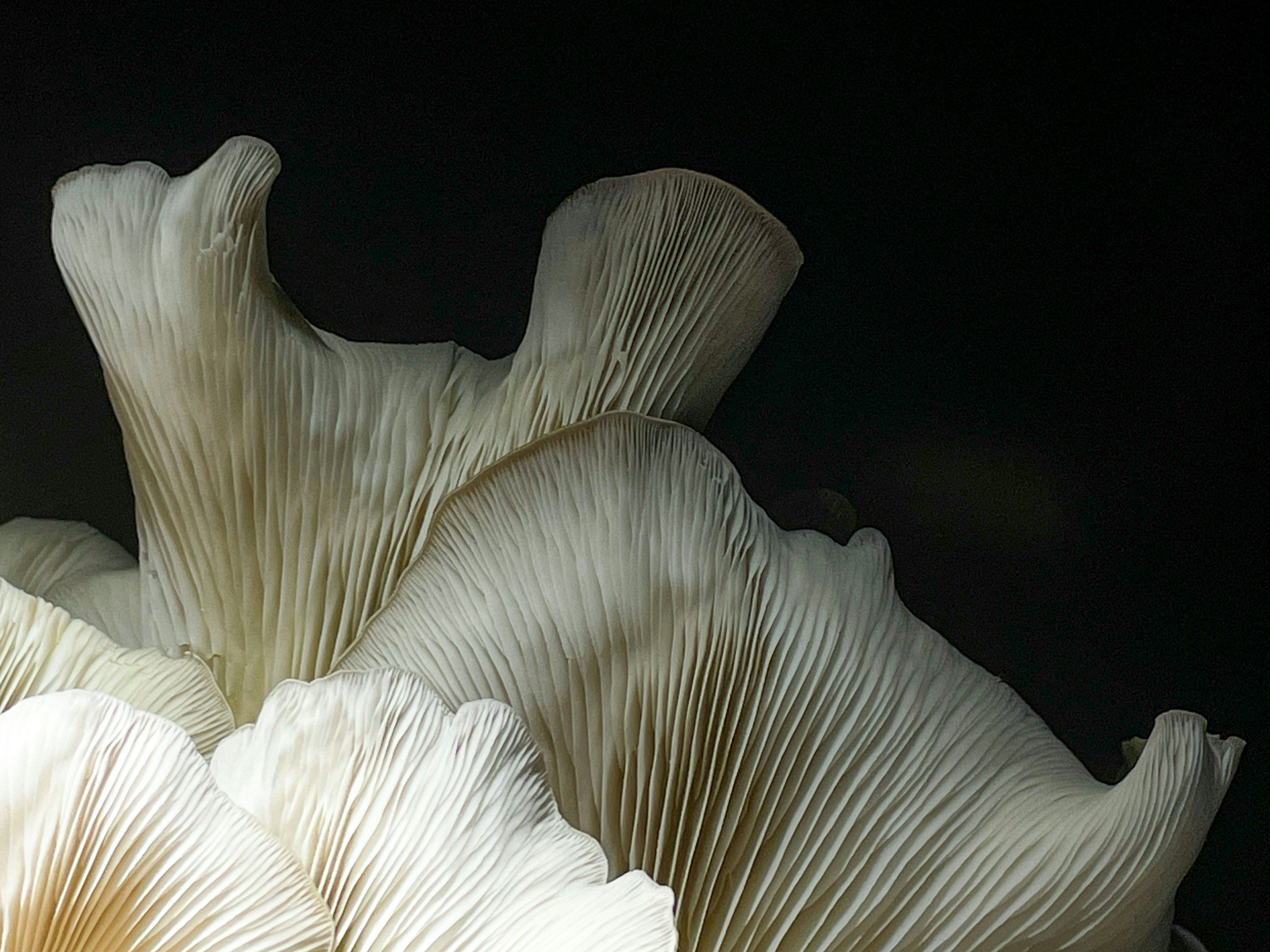 Little Current, ON, Canada