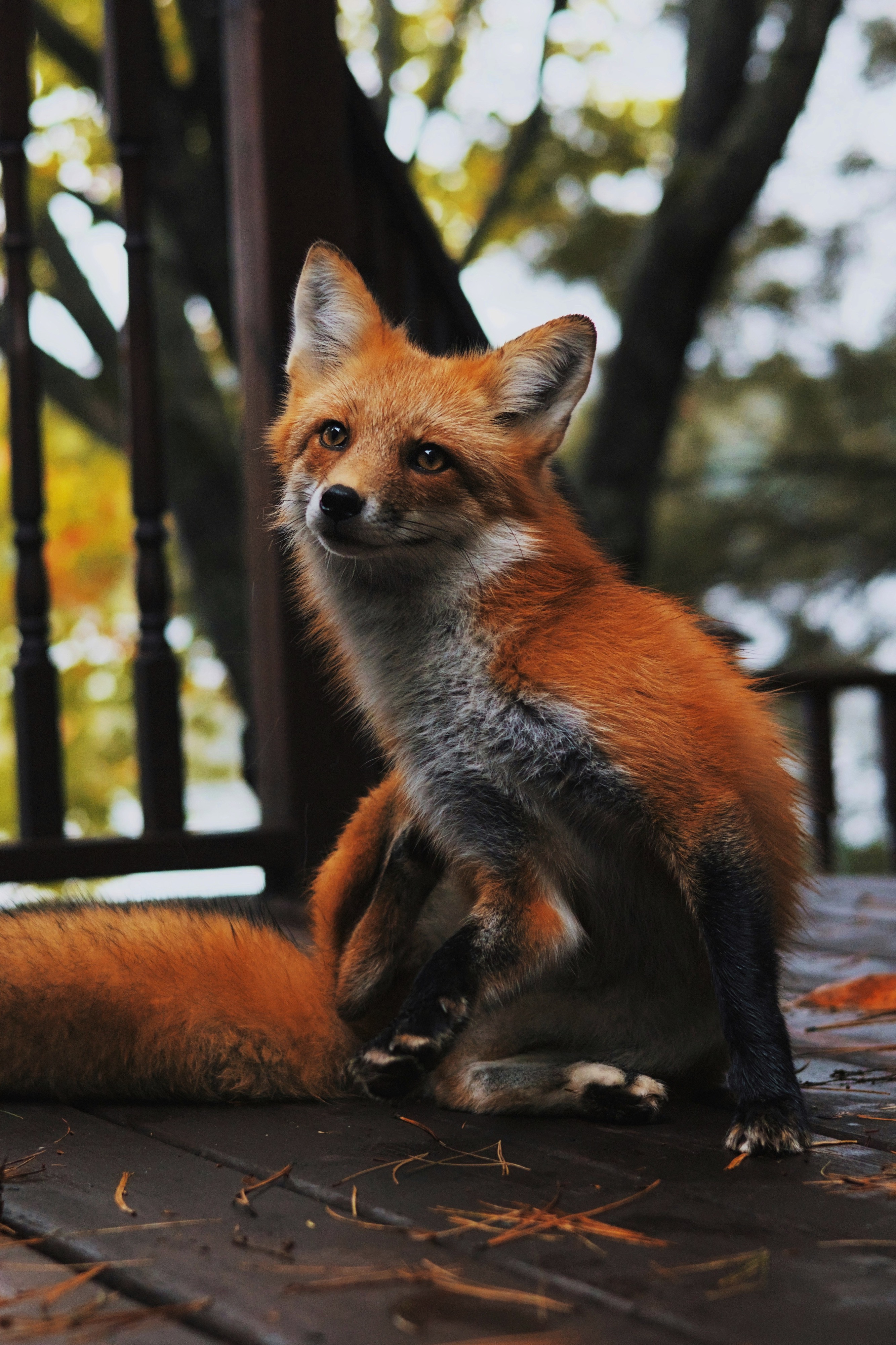 Parry Sound, ON, Canada