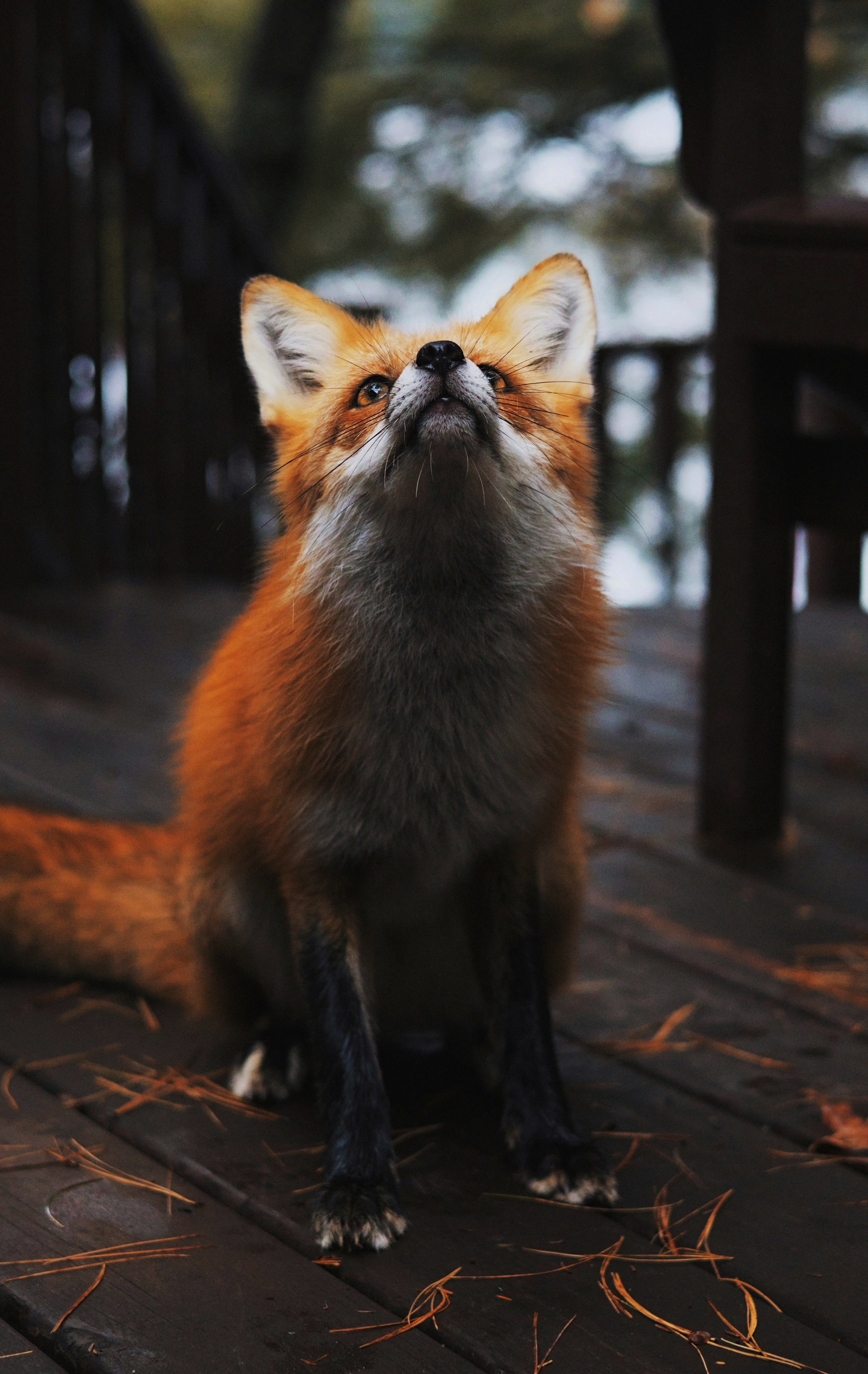 Parry Sound, ON, Canada