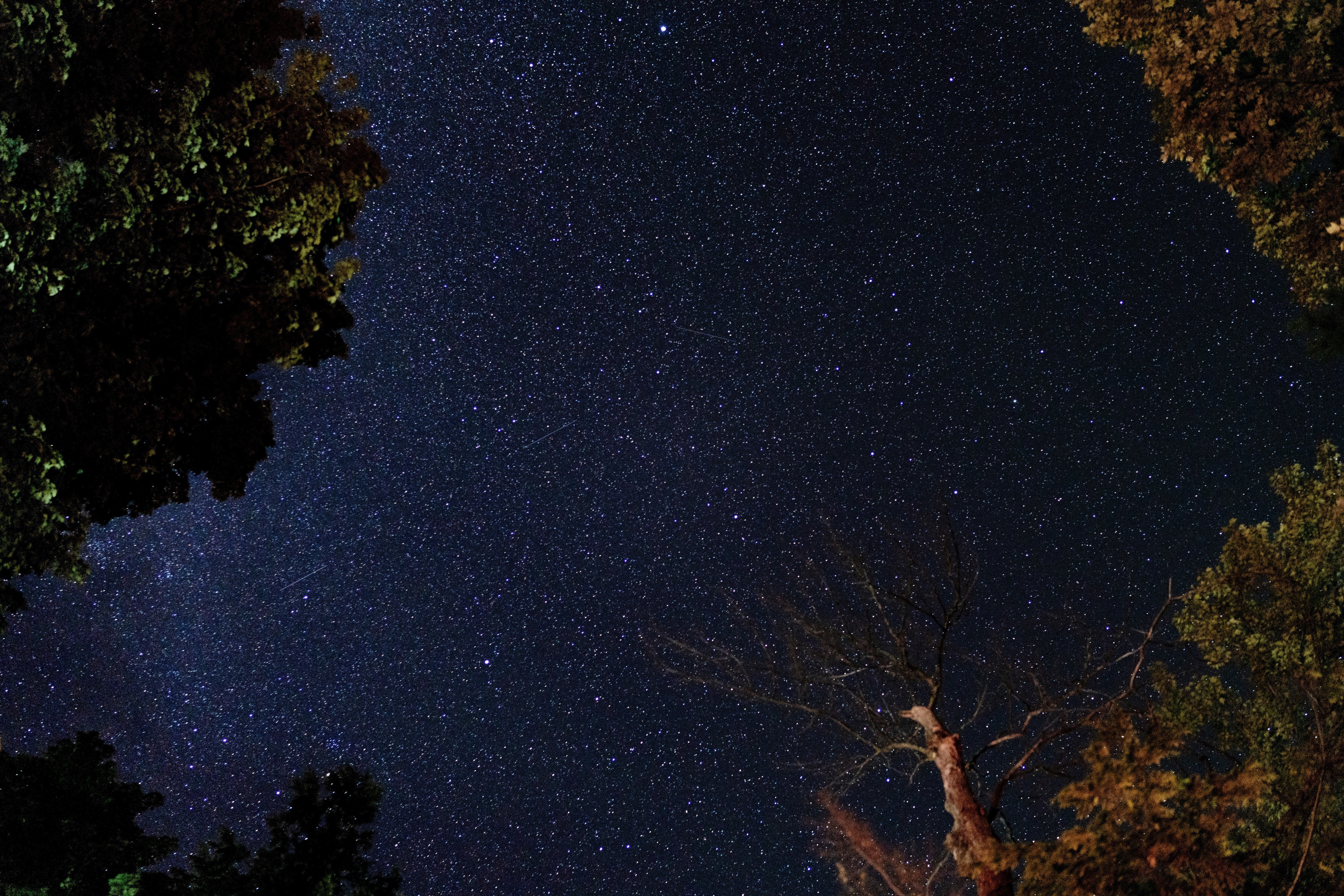 Oastler Lake Provincial Park, Oastler Park Drive, Parry Sound, ON, Canada