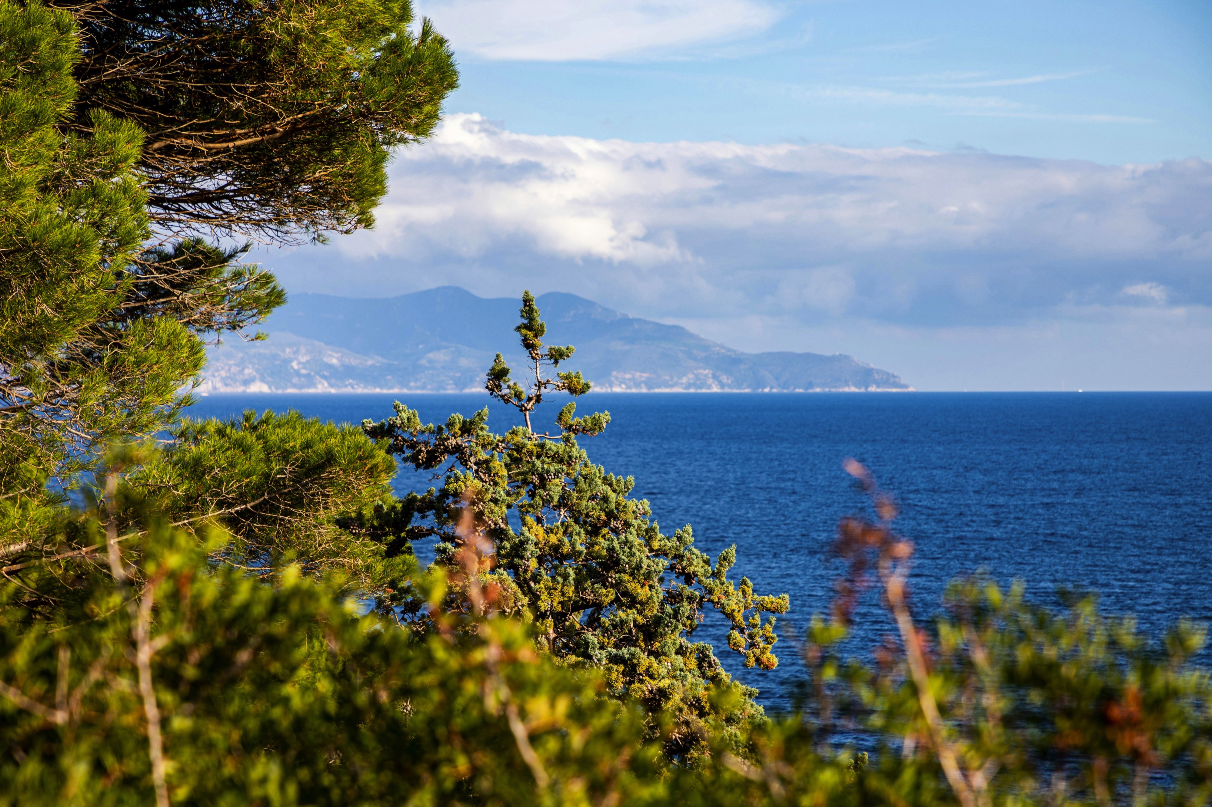 Isola del Giglio, Italia