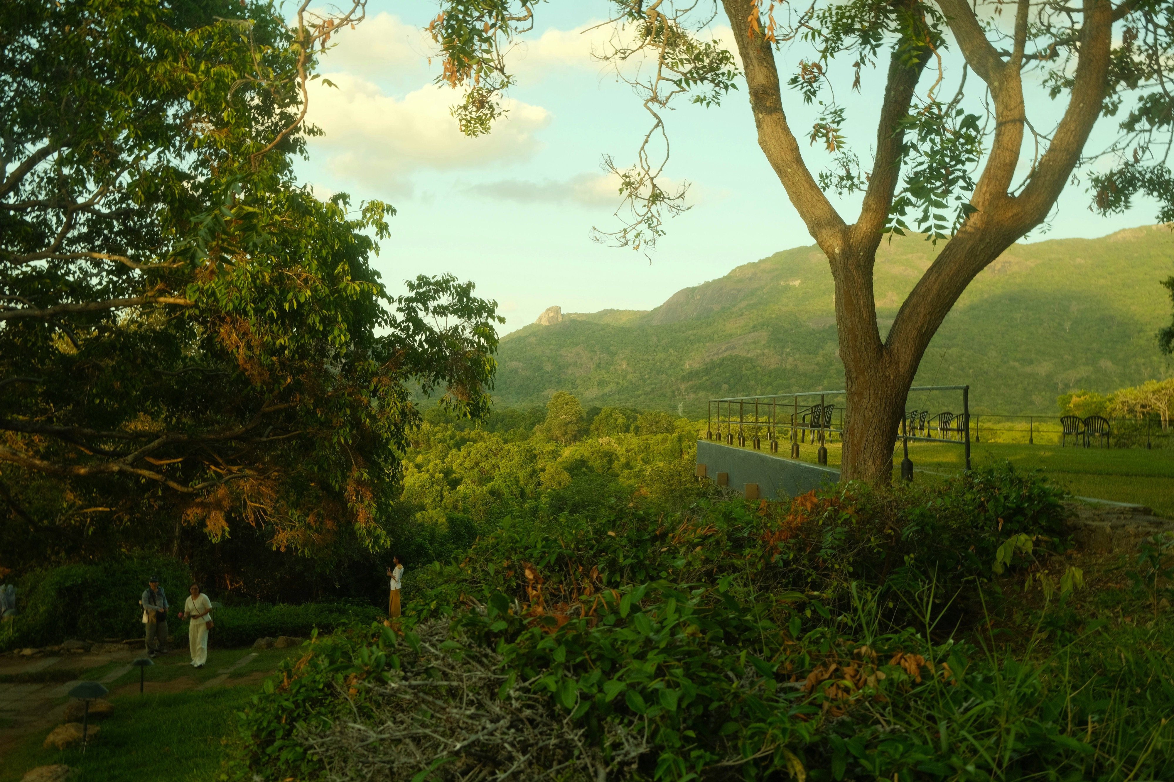 Heritance Kandalama, Dambulla, Sri Lanka