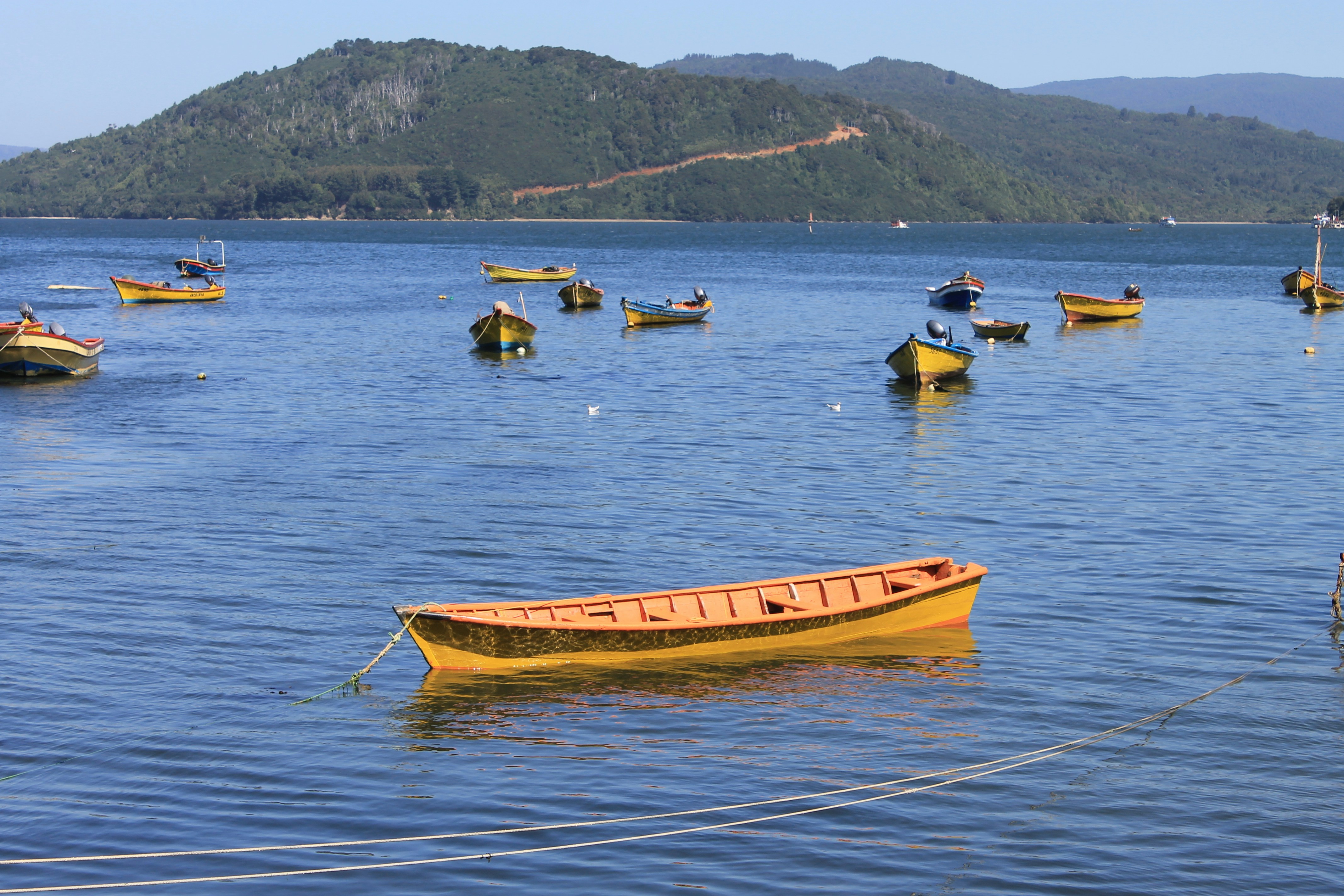 botes en la costa de niebla