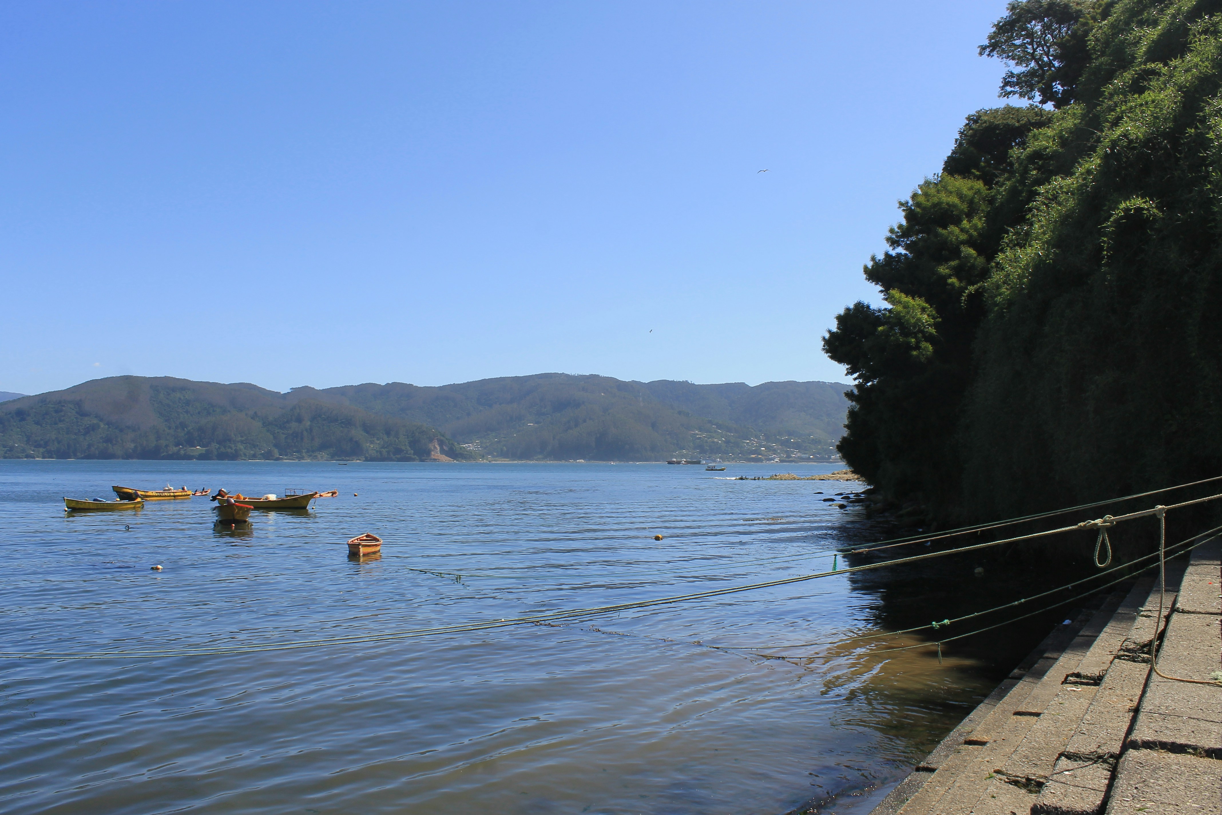botes en la costa de niebla