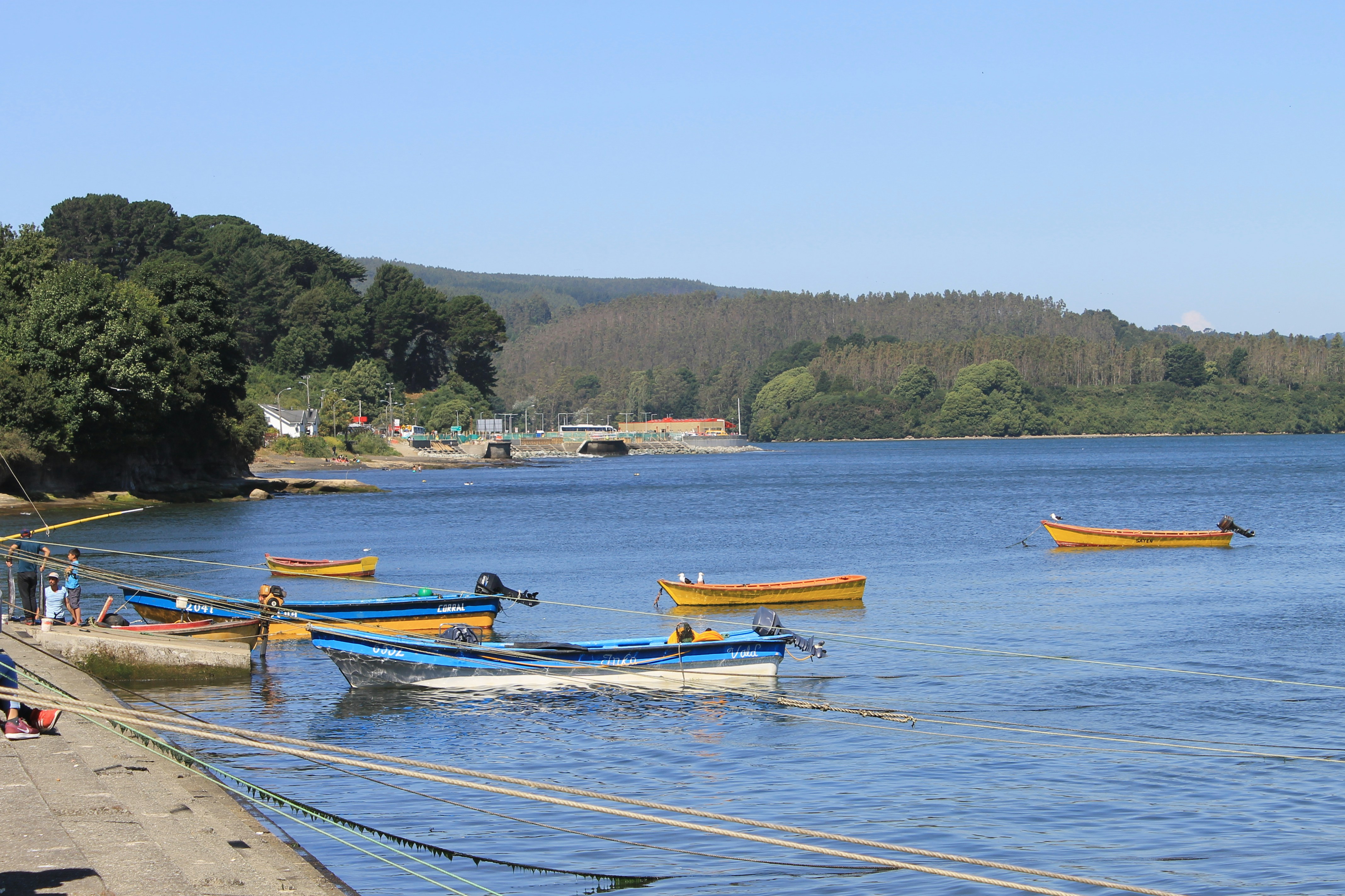 botes en la costa de niebla
