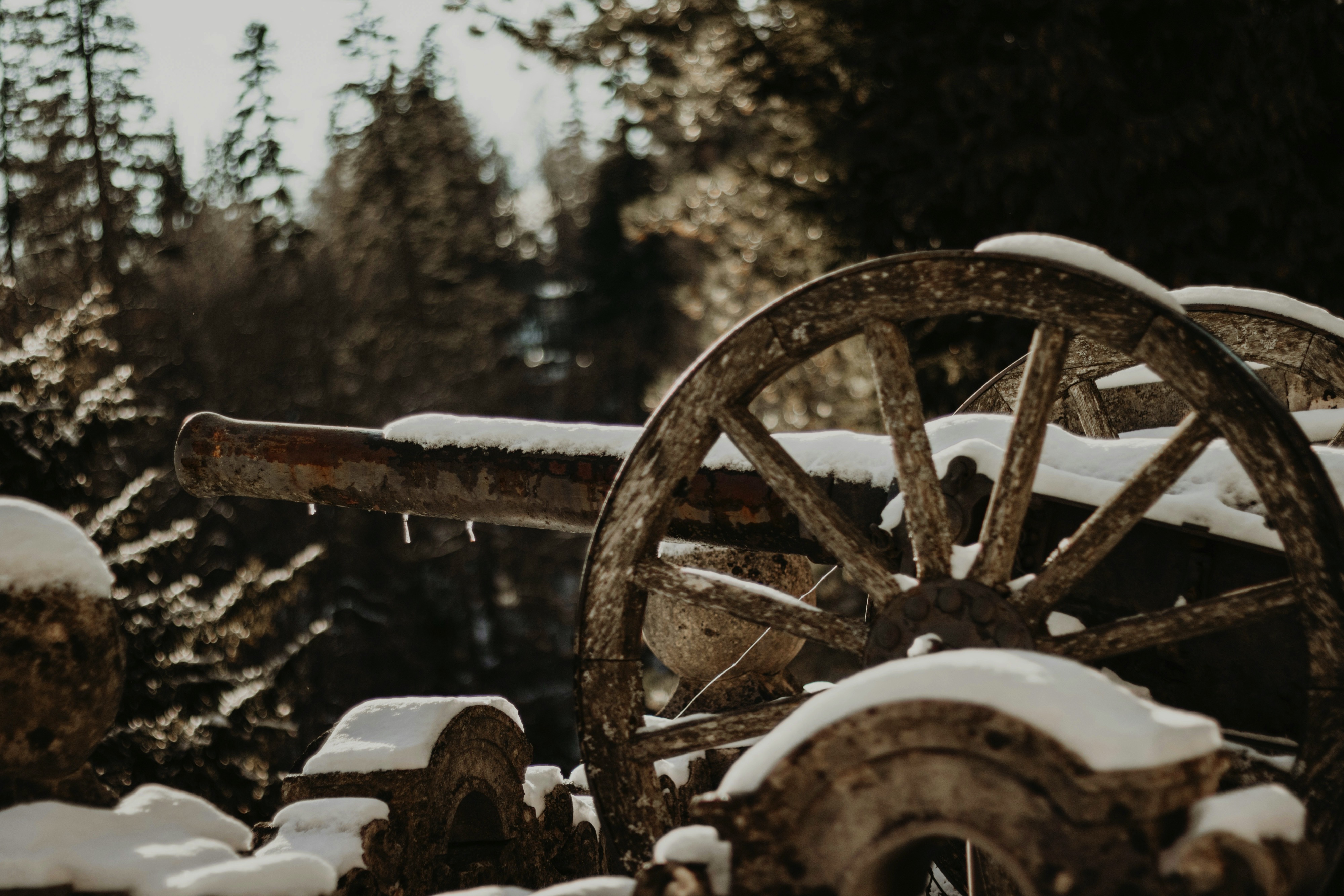 Peleș Castle, Aleea Peleșului, Sinaia, Romania