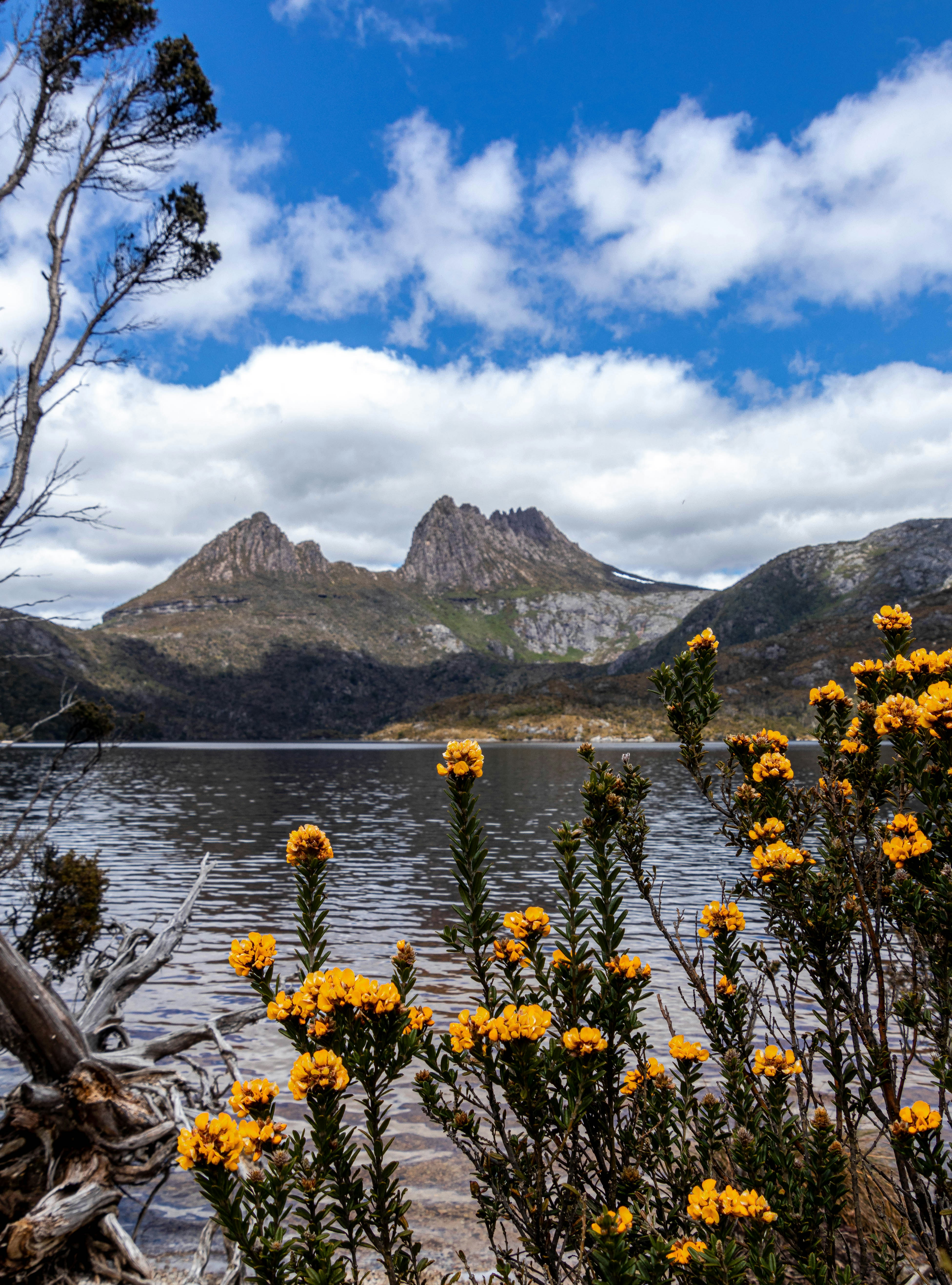 Tasmania, Australia