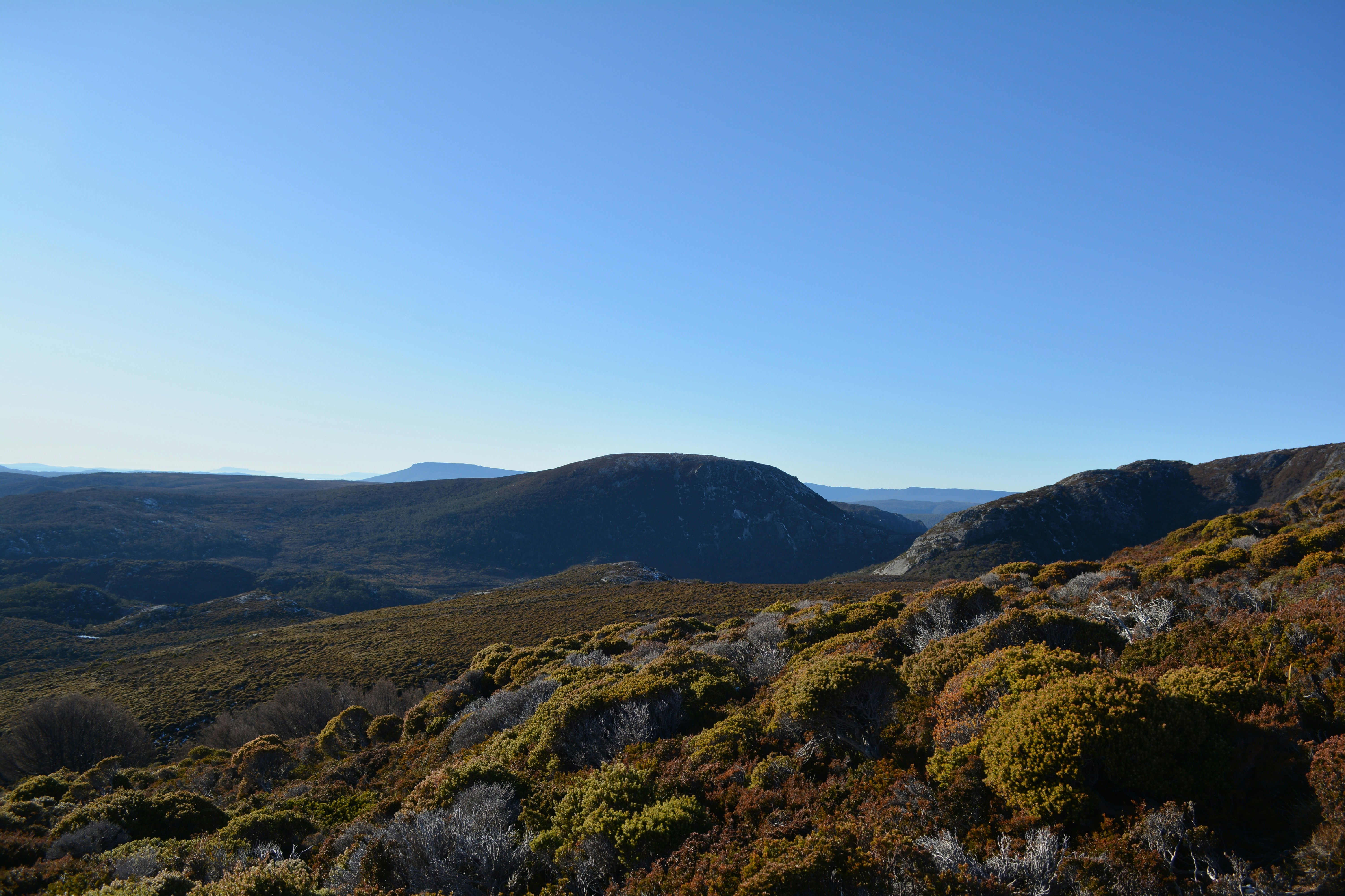 Horse Track, Cradle Mountain TAS, Australia
