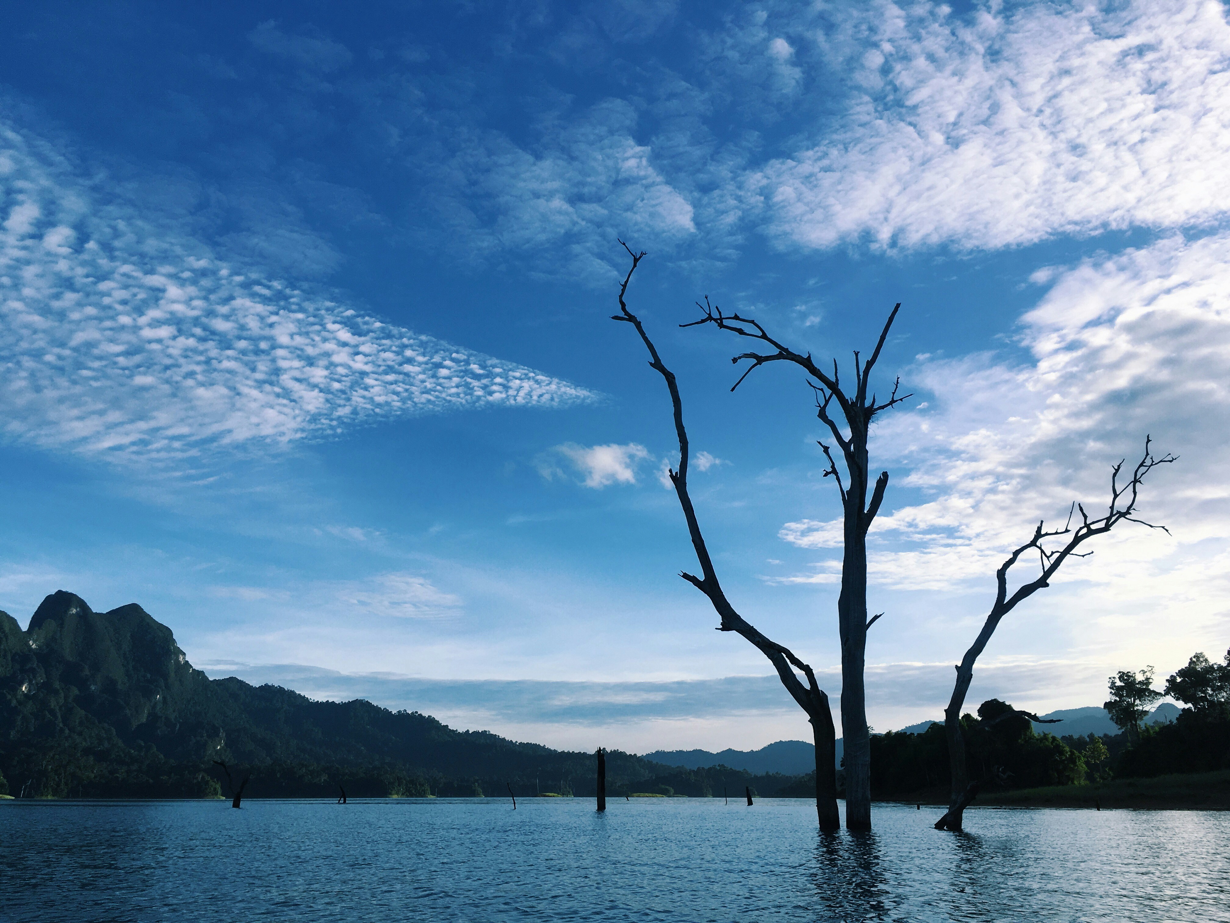 Khao Sok National Park seen from the water.