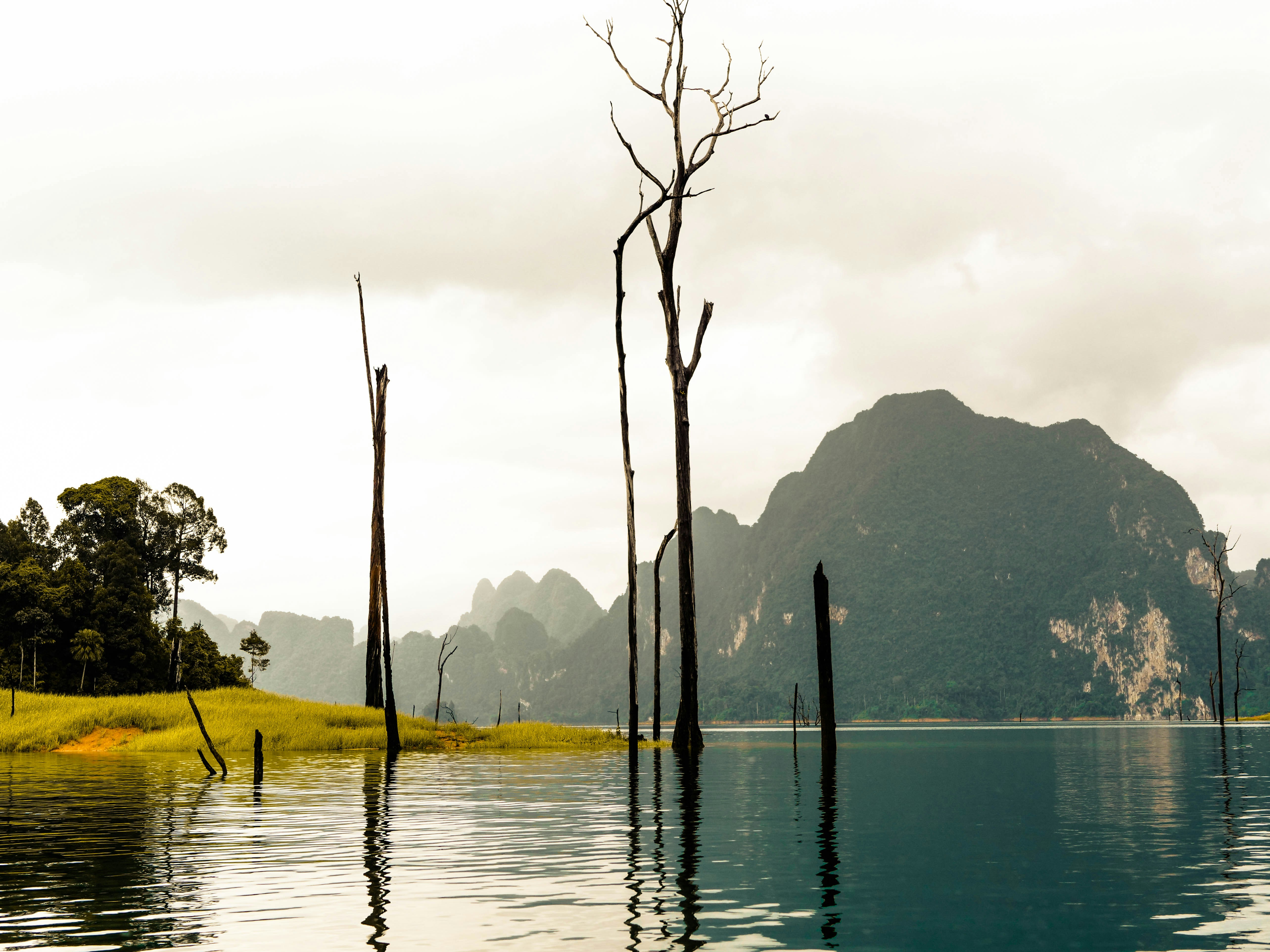 Khao Sok National Park, Khlong Sok, Thailand