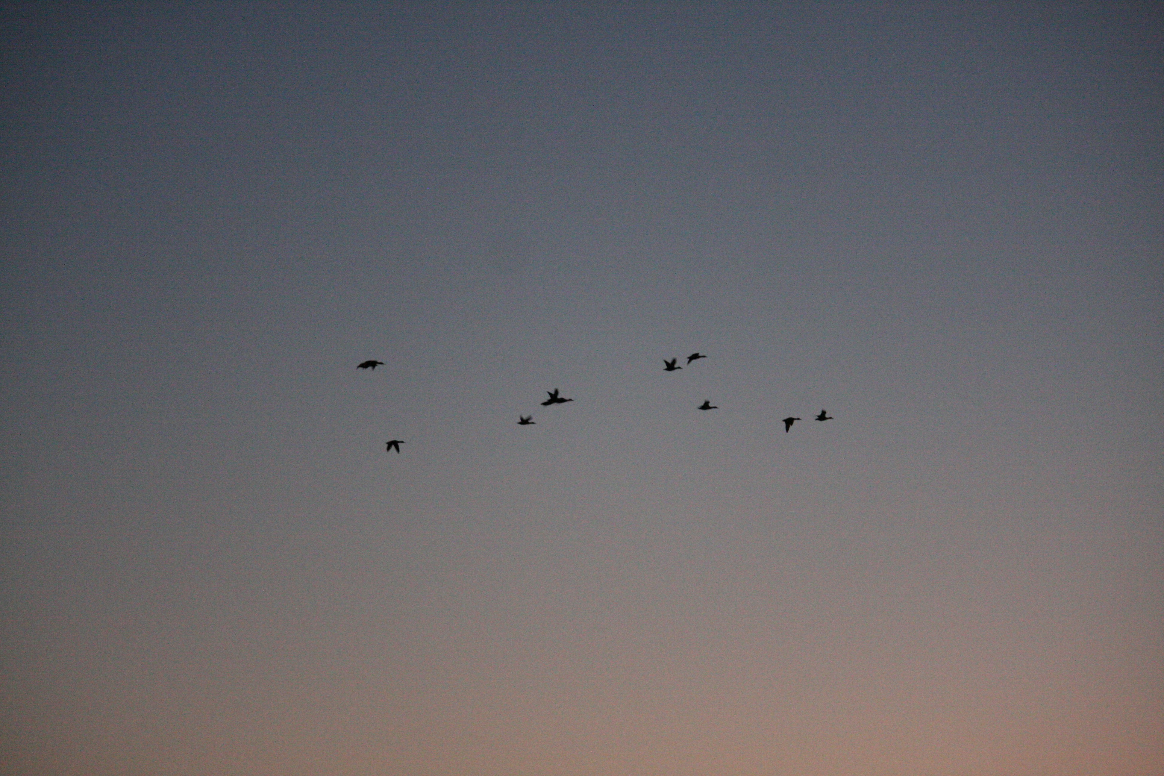 Kingston, ON, Canada