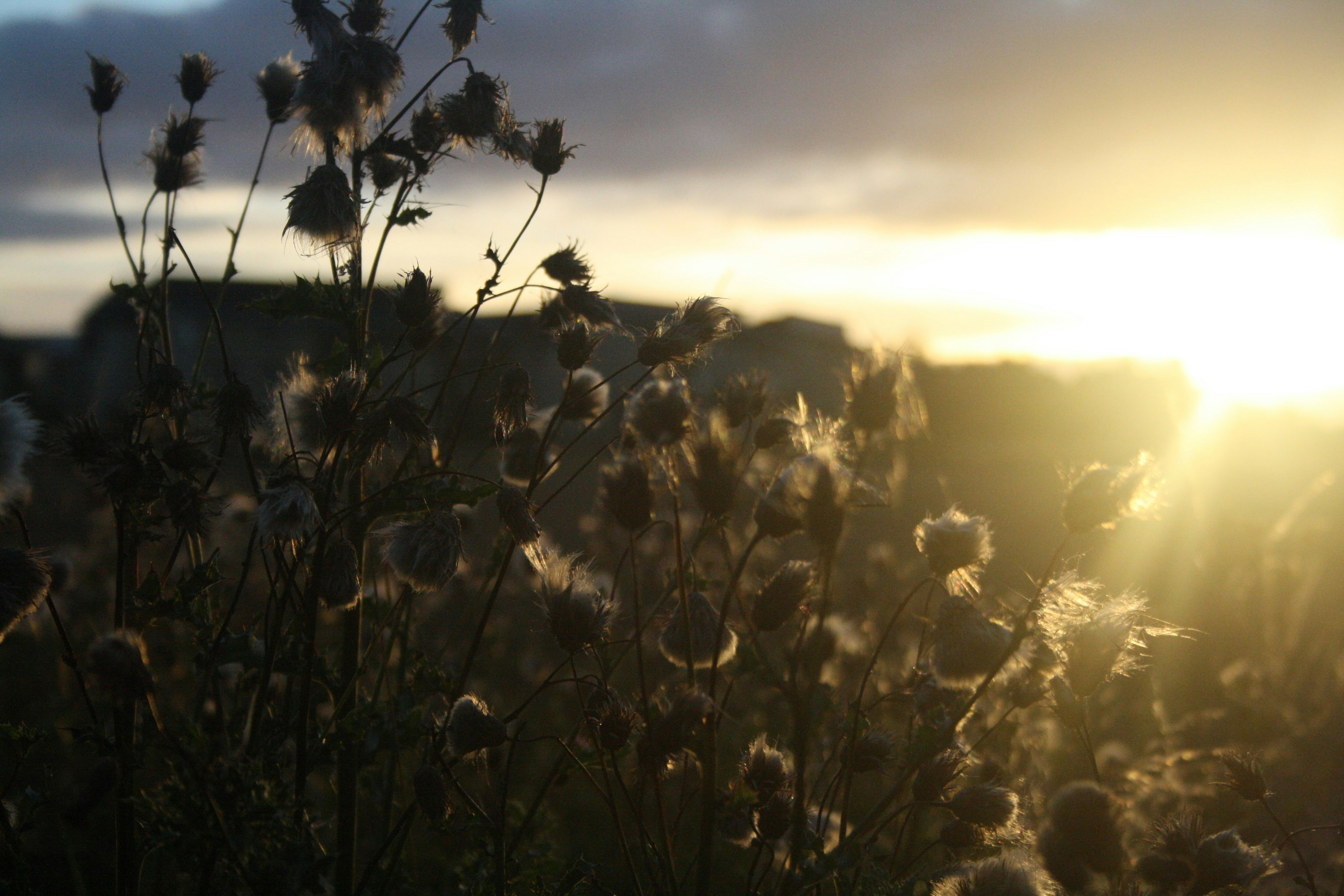 Saint Andrews, United Kingdom