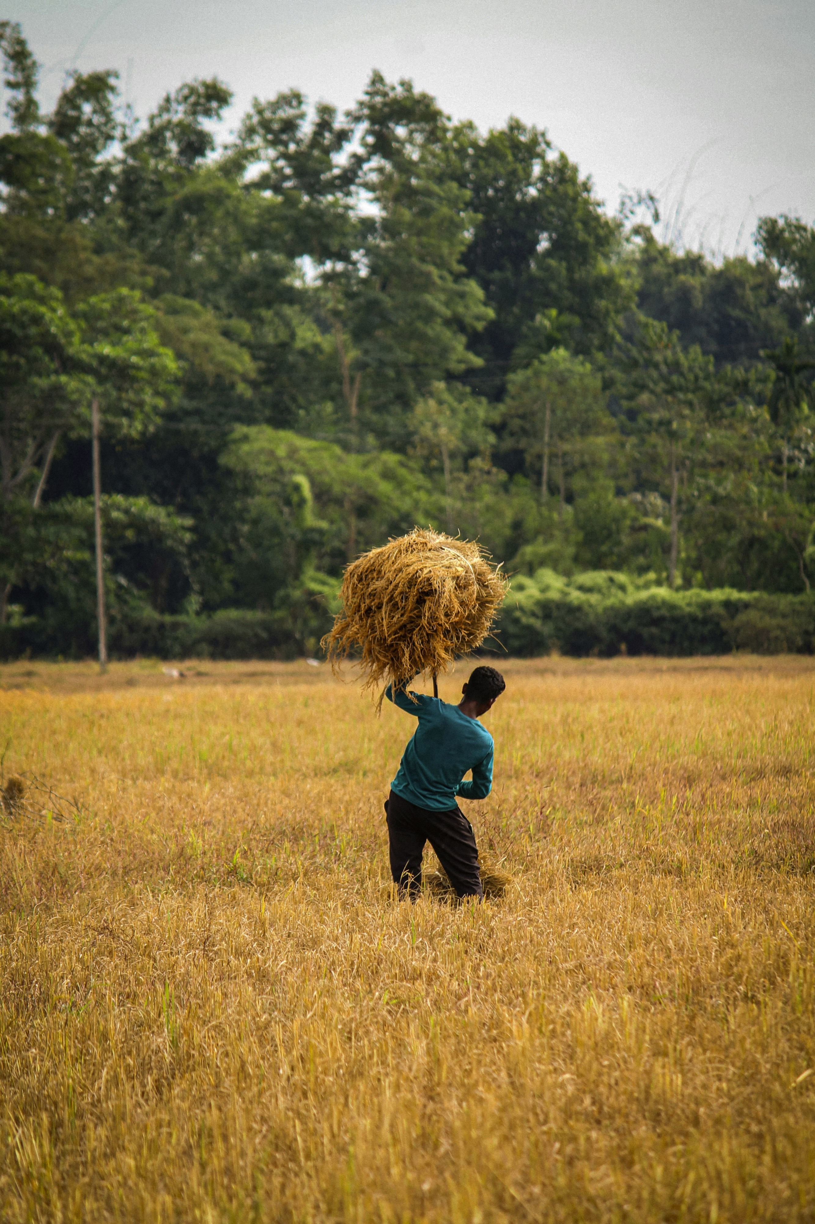 Jorhat, Assam, India