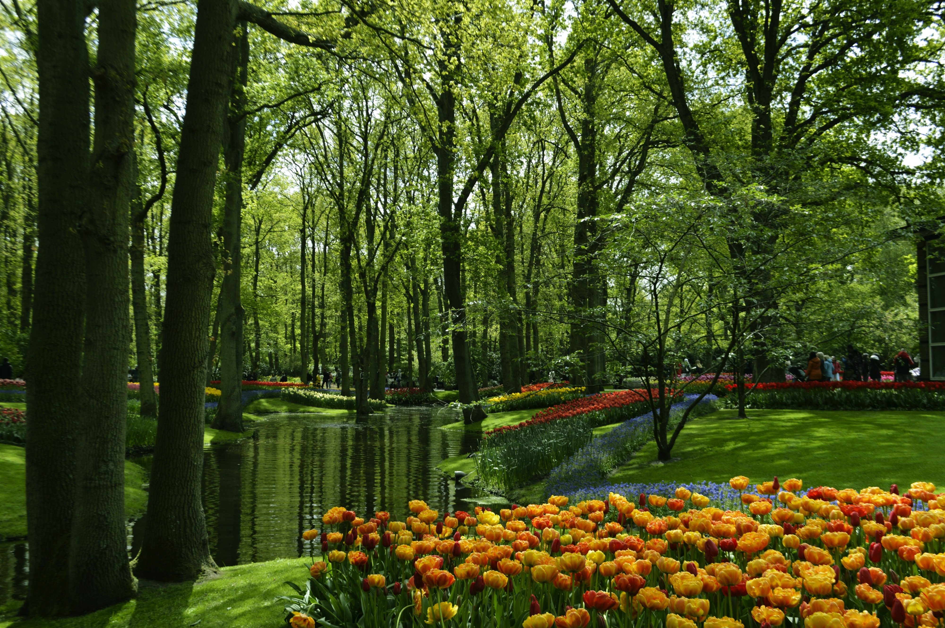 Keukenhof, Lisse, Netherlands