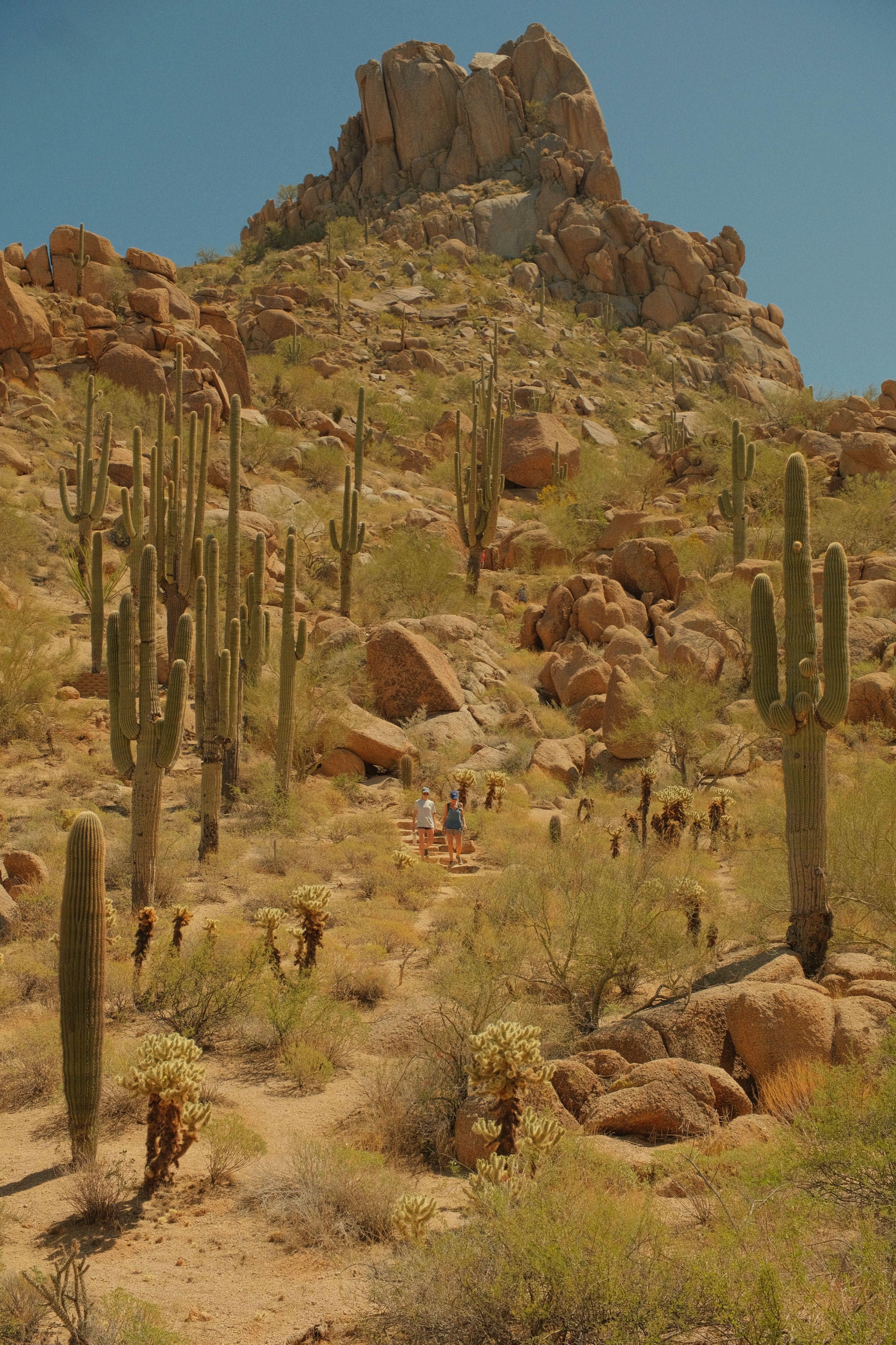 Pinnacle Peak, Scottsdale, AZ, USA