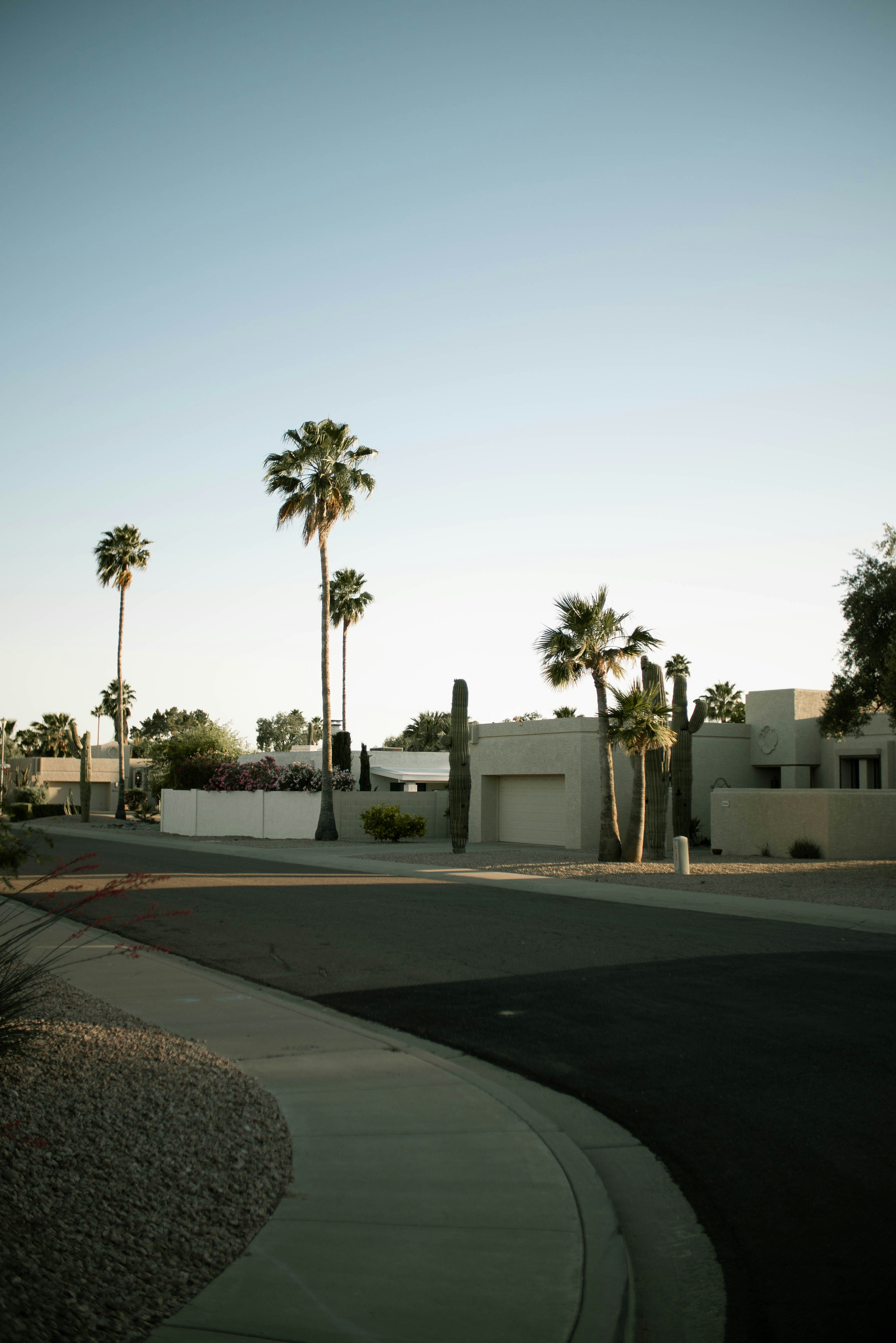 Modern Scottsdale, AZ neighborhood at golden hour.