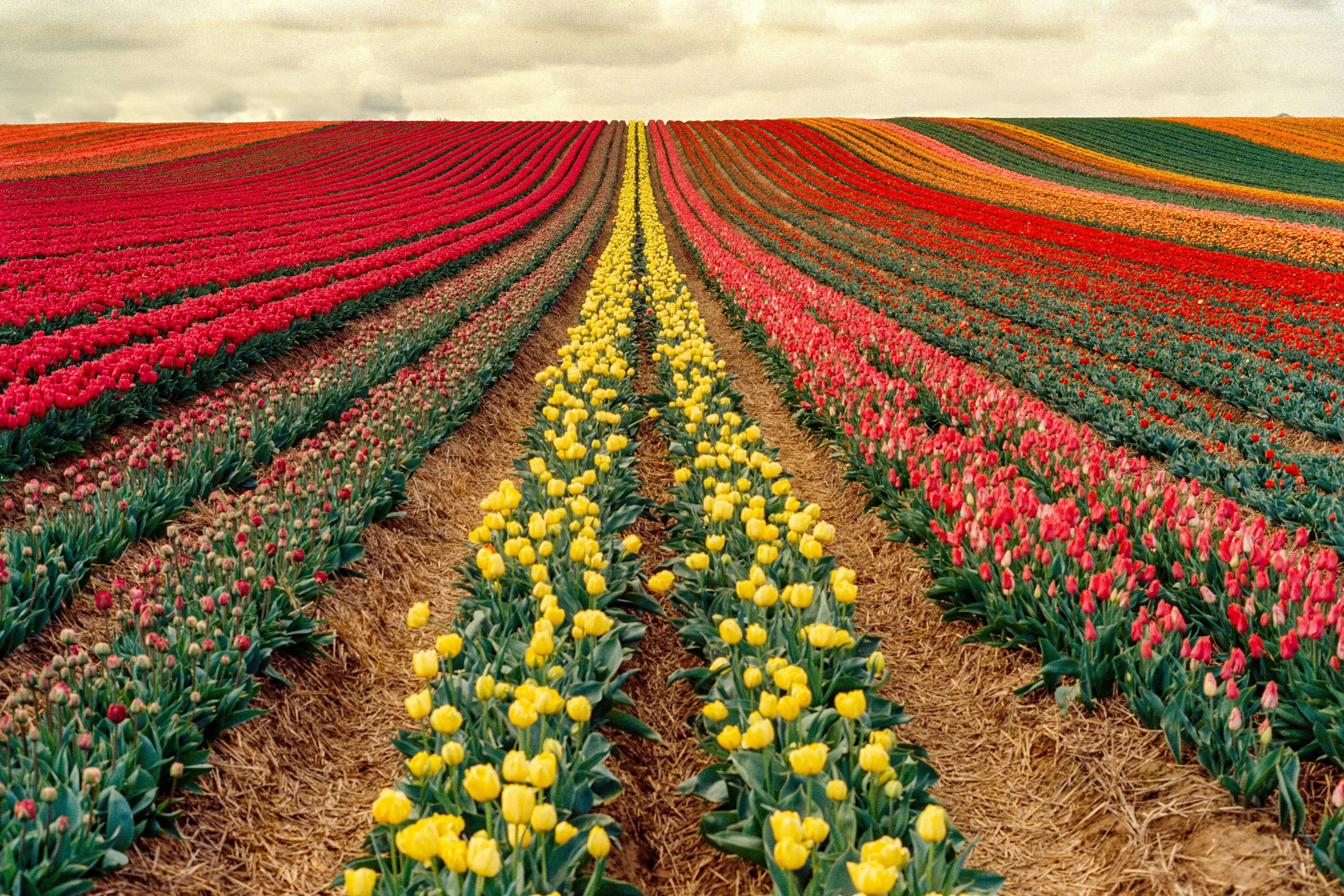 Grevenmacher, Luxemburg