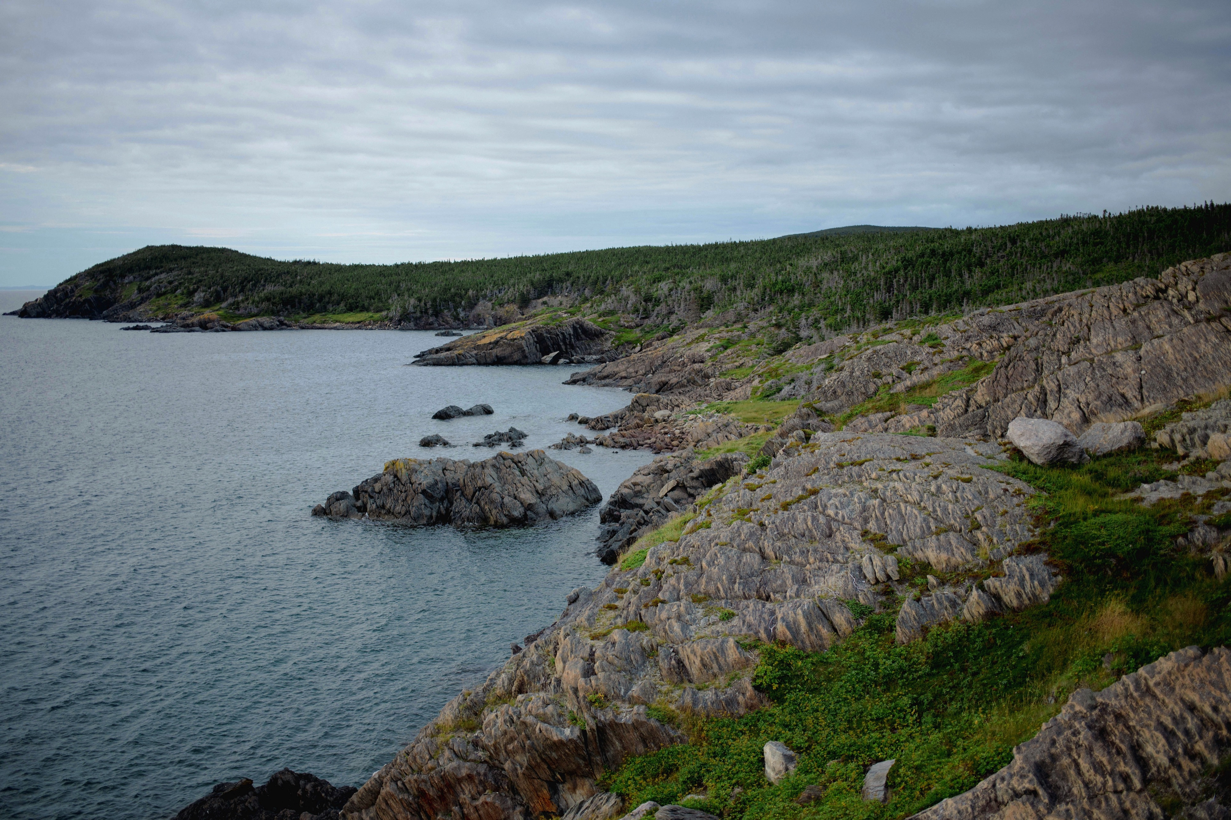Labrador Coast, Newfoundland and Labrador, Canada