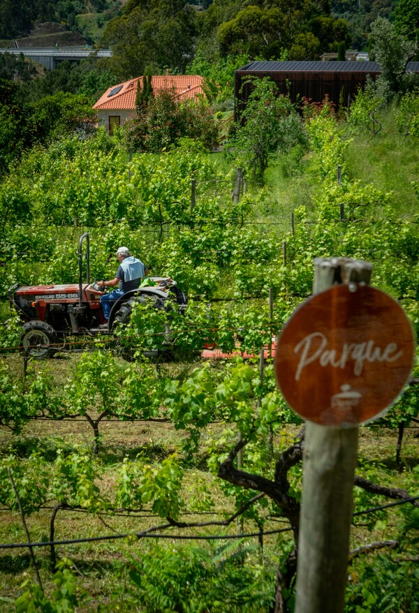 Peso Village, Amarante, Portugal