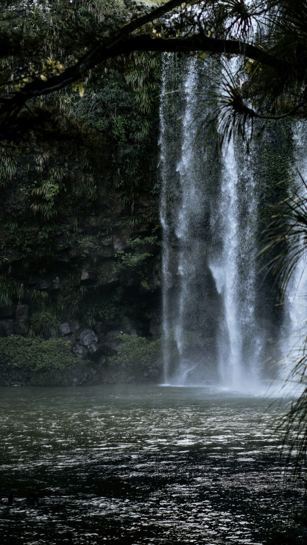 Whangārei, New Zealand
