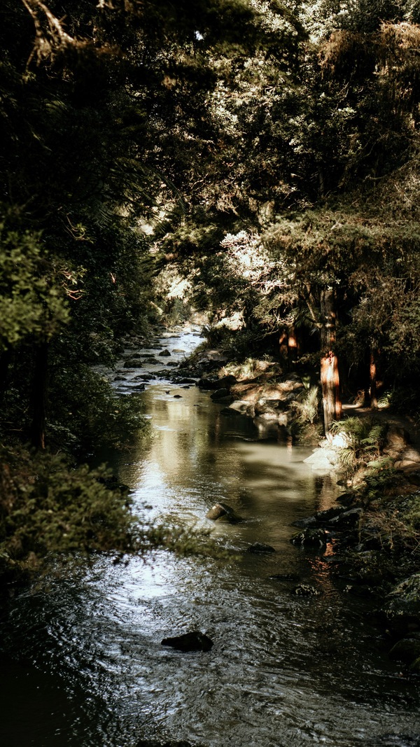 Whangārei, New Zealand