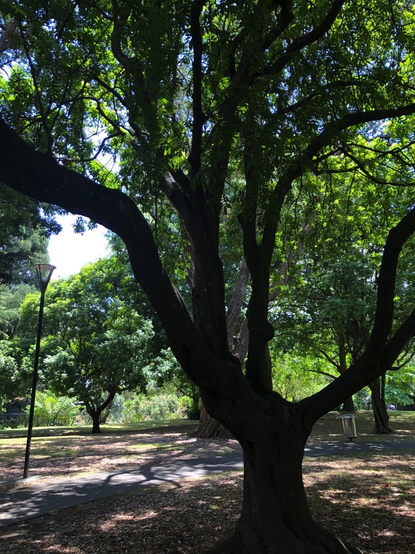 2 First Avenue, Whangarei, New Zealand