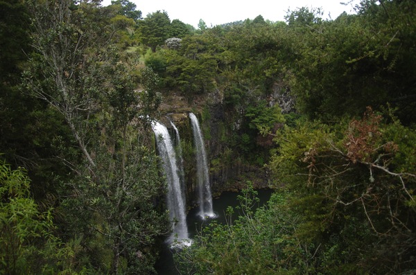 Whangārei Falls, Tikipunga, Whangārei, New Zealand