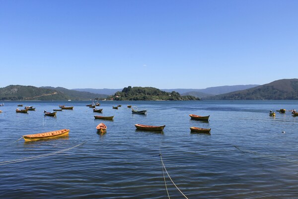 botes en la costa de niebla