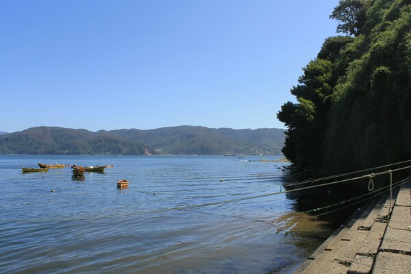 botes en la costa de niebla
