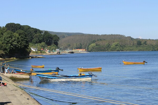 botes en la costa de niebla