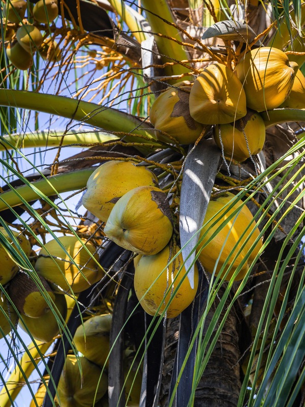 Mahajanga, Madagascar