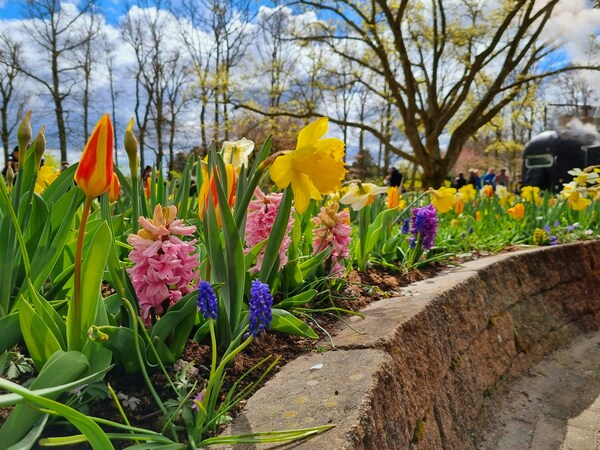 Keukenhof, Lisse, Netherlands
