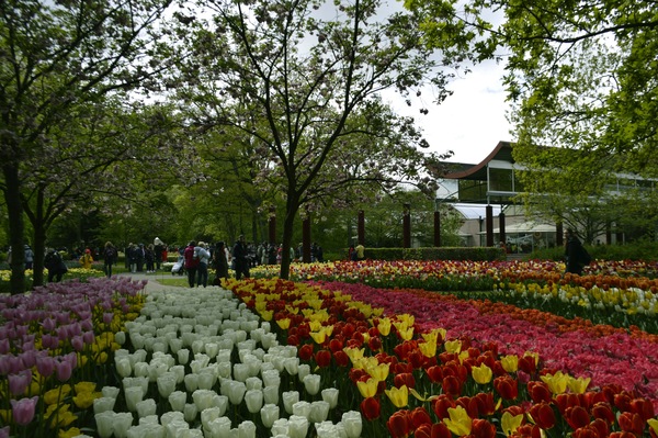 Keukenhof, Lisse, Netherlands