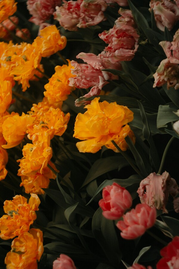 Keukenhof, Stationsweg, Lisse, Netherlands