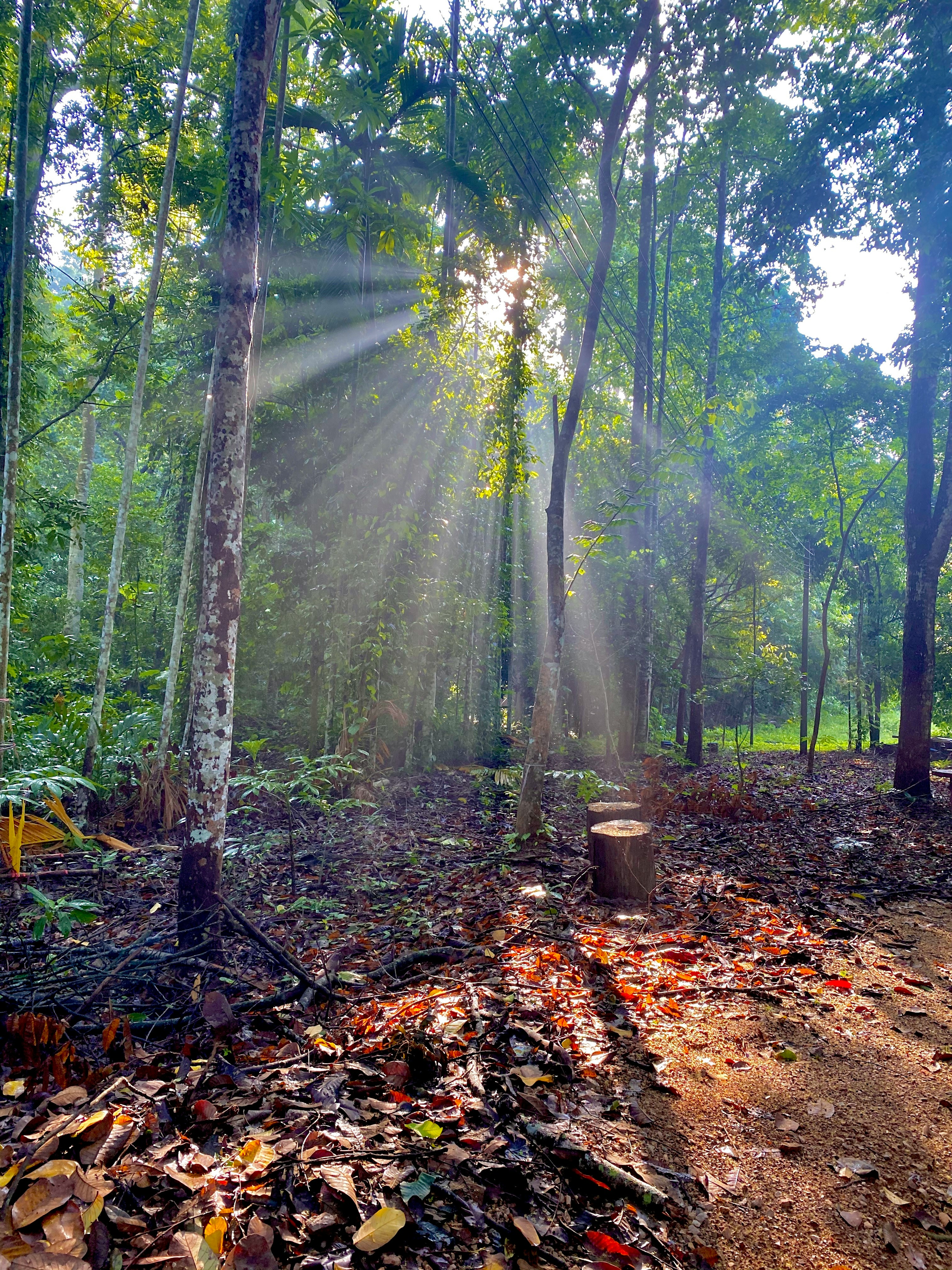 Surat Thani, Thailand