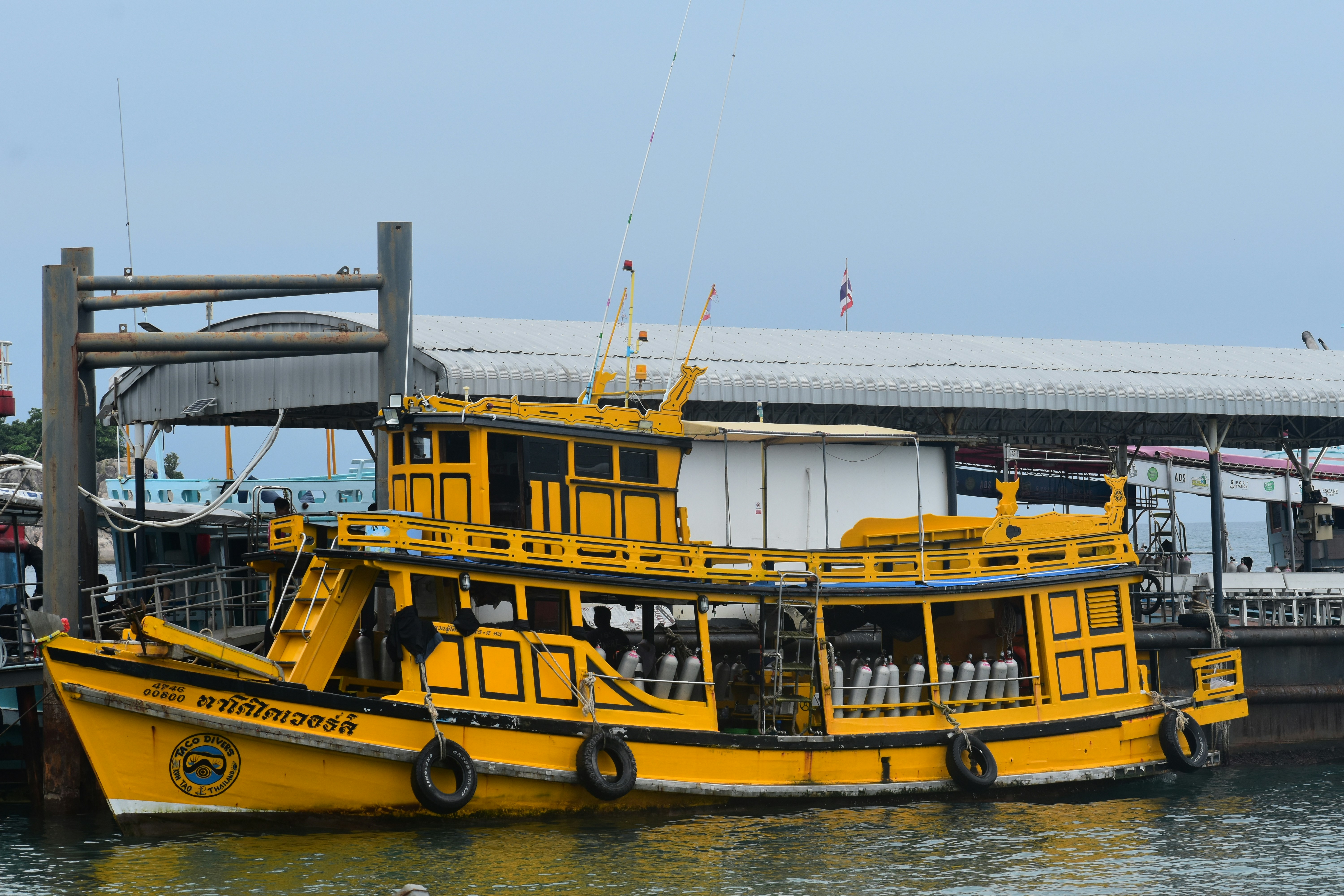 Mae Haad Pier, Ko Tao, Ko Pha-ngan District, Surat Thani, Thailand
