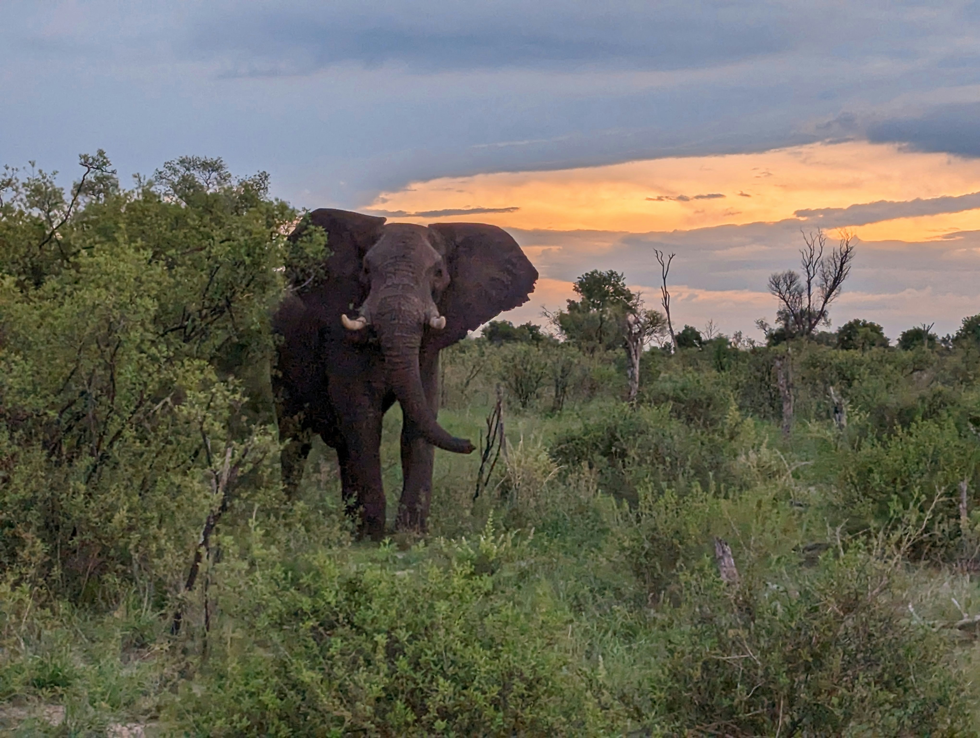 Hwange, Zimbabwe