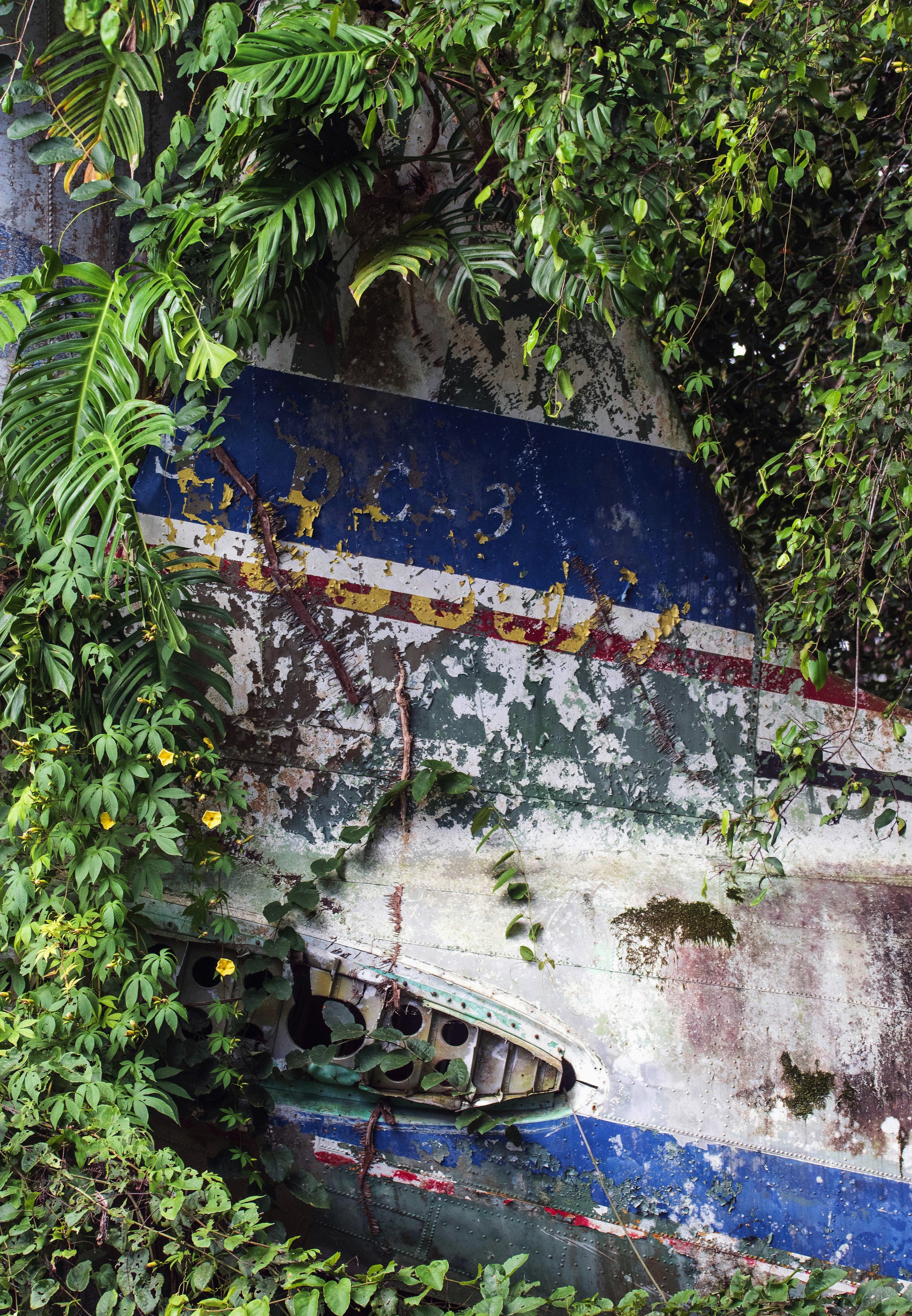 Kuranda QLD, Australia