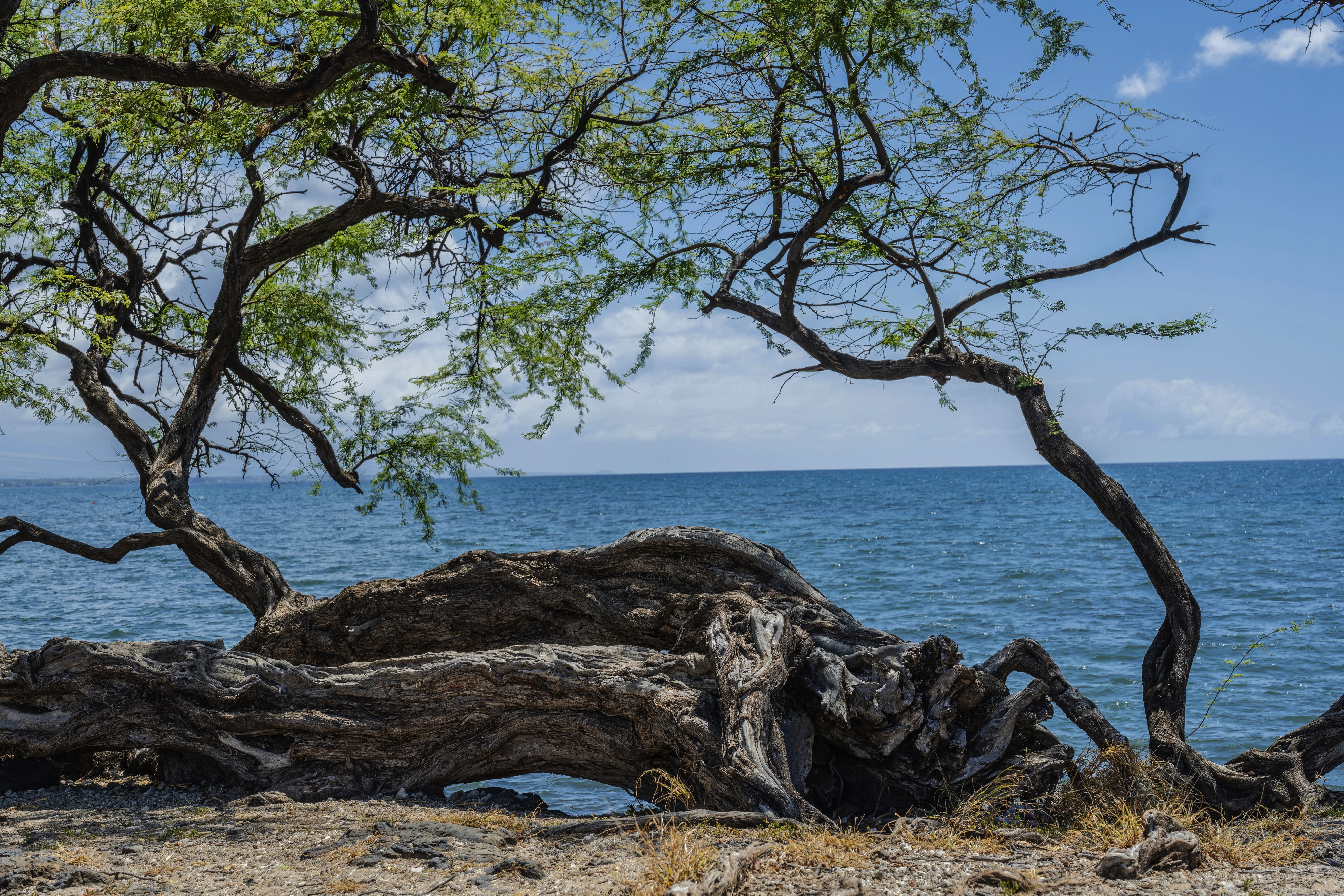 Puukohola Heiau National Historic Site, Waimea, HI, USA
