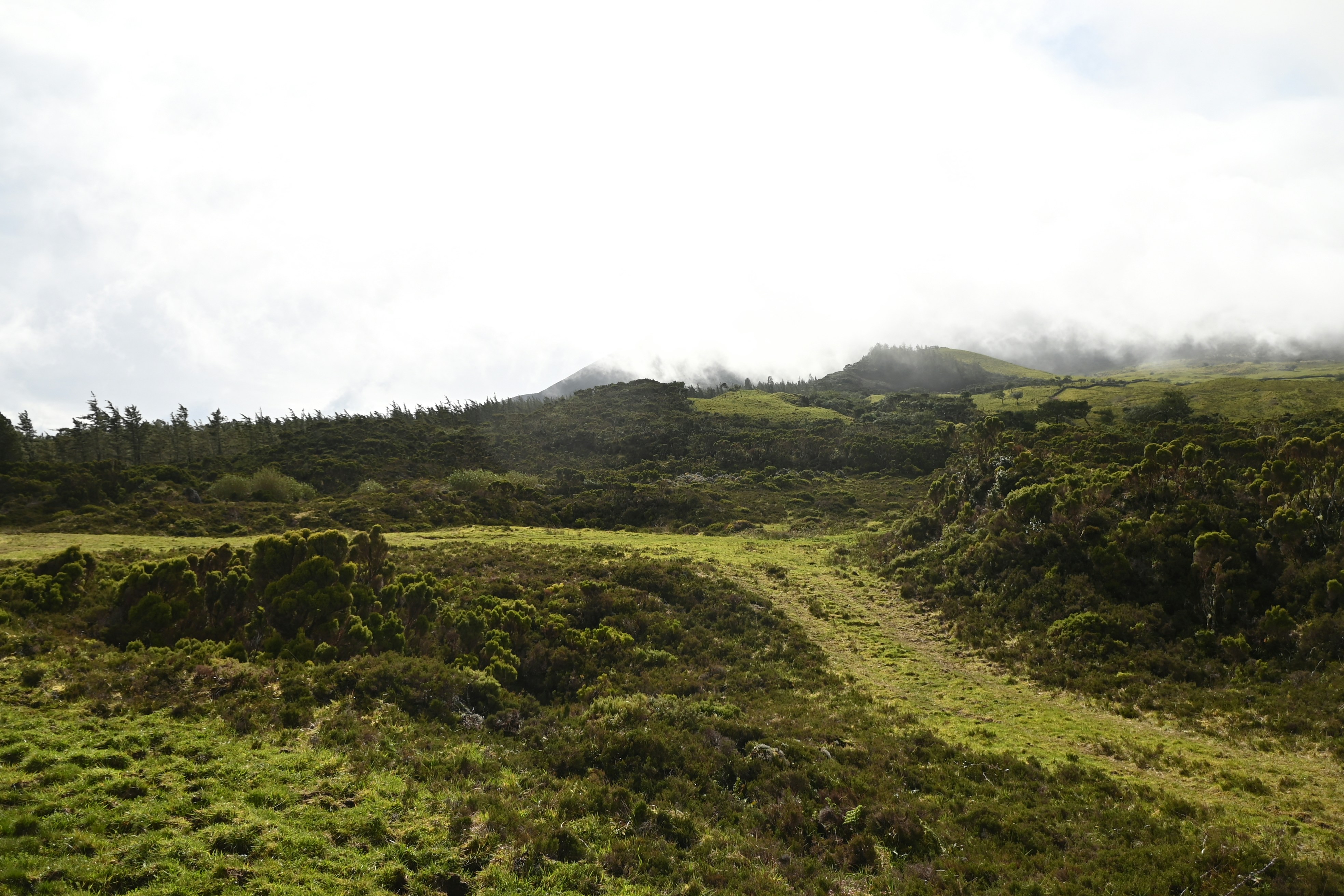 Pico Island, Portugal