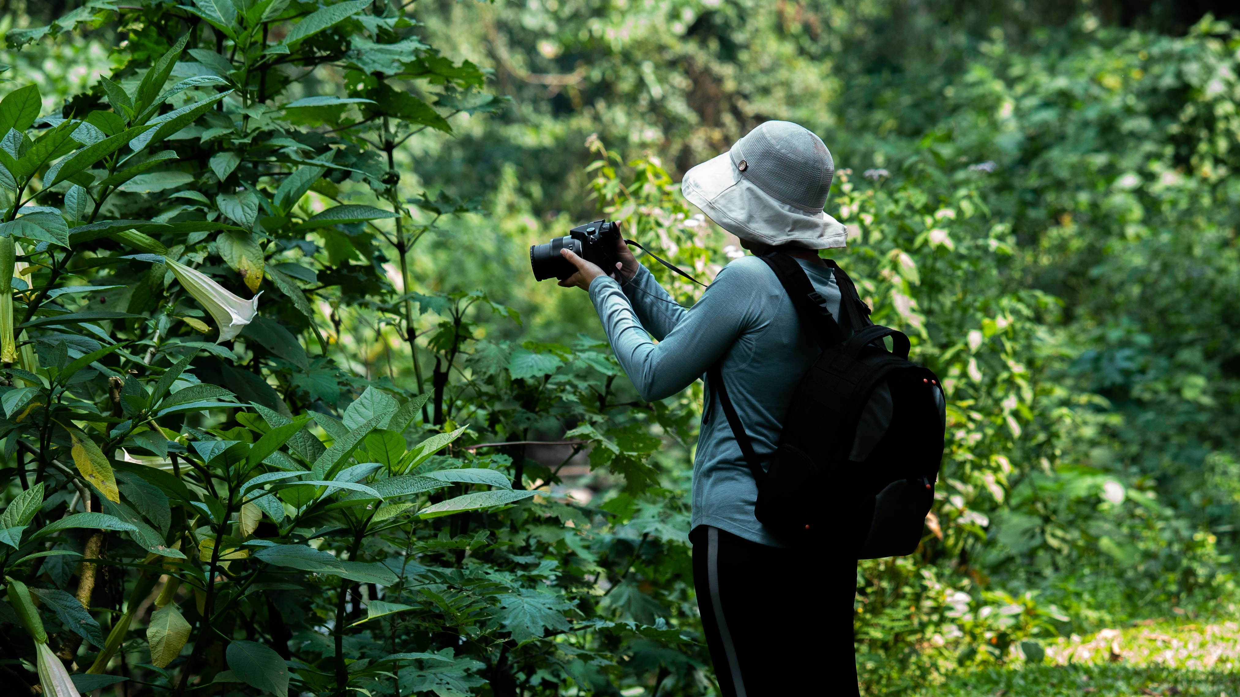 Bwindi Impenetrable Forest, Uganda