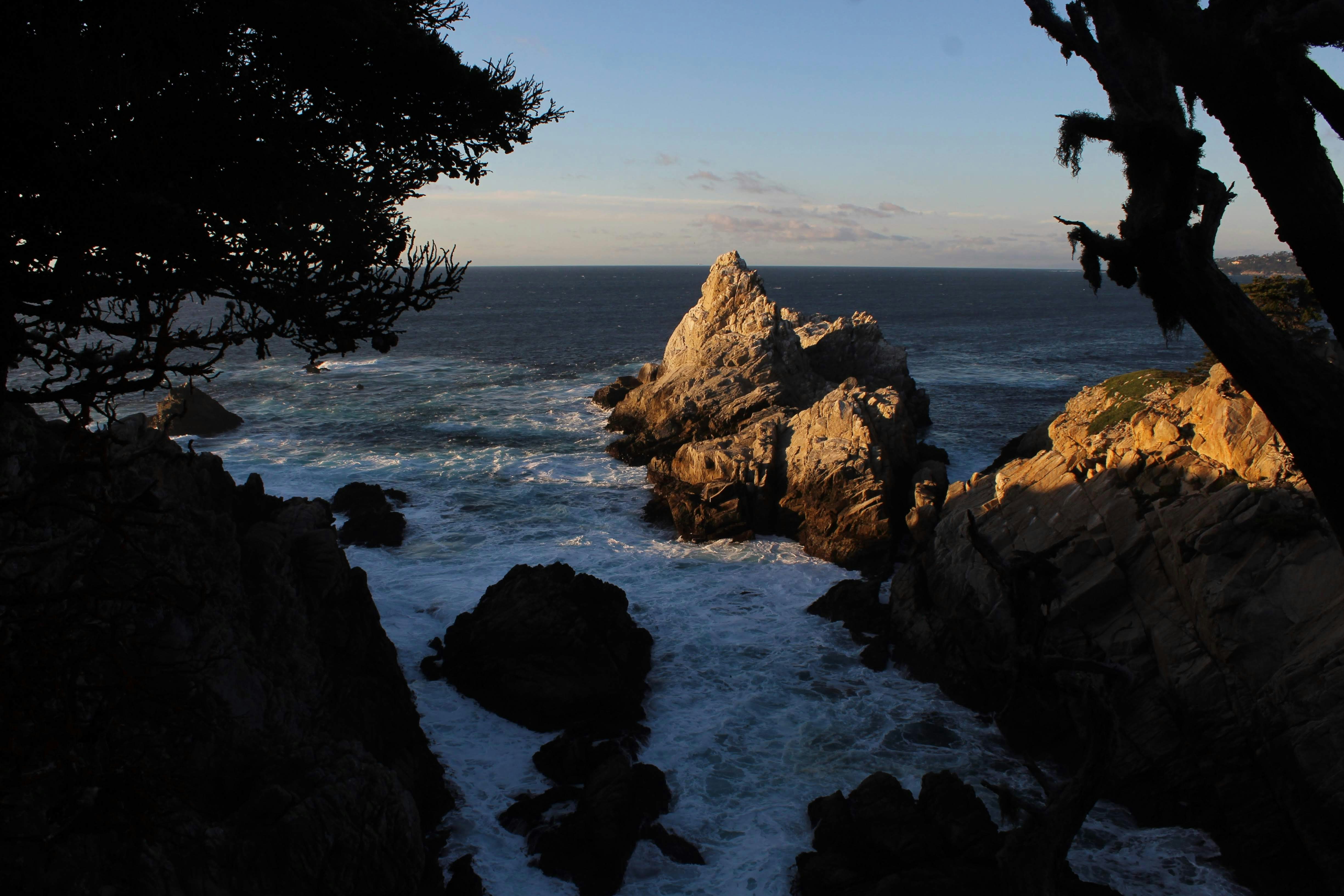 Point Lobos State Natural Reserve, Carmel-by-the-Sea, CA, USA
