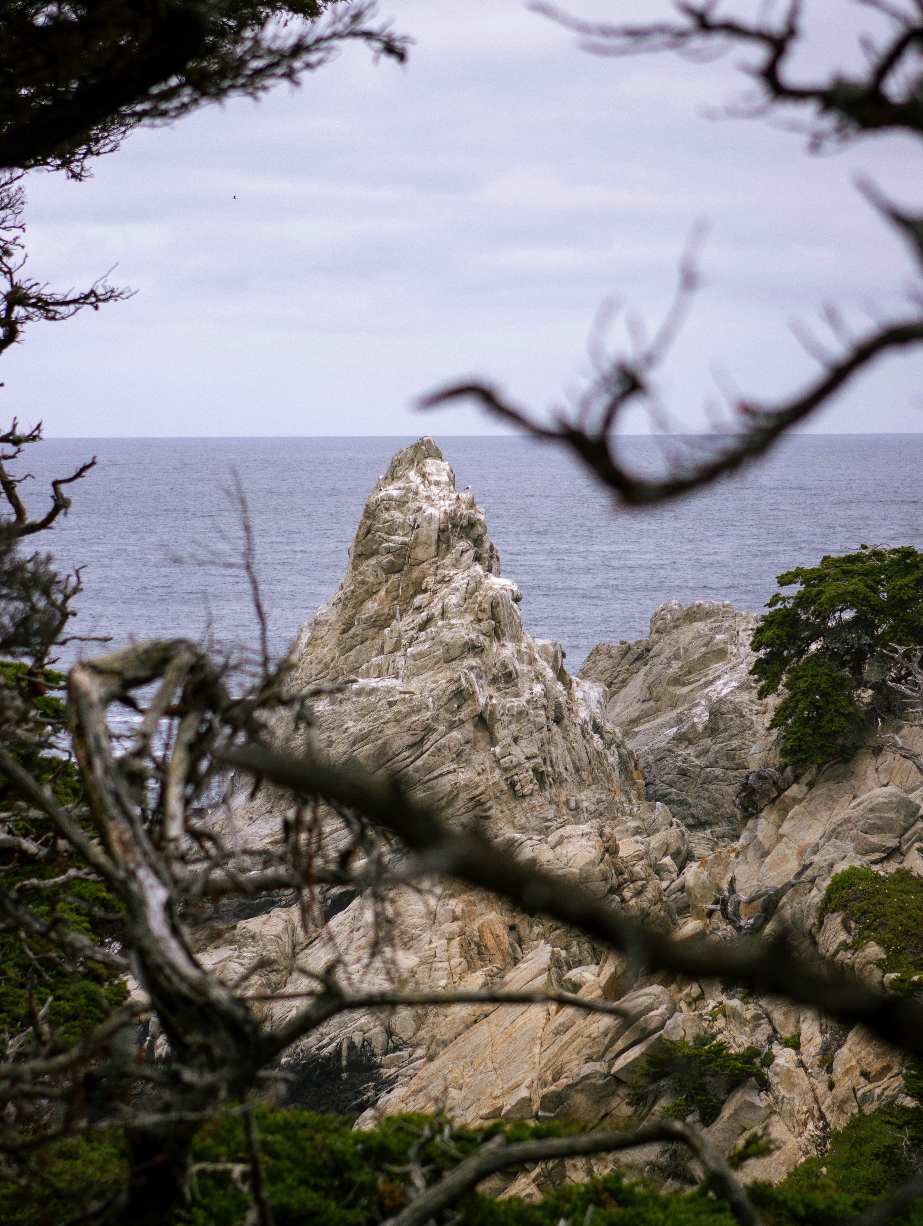 Grand Tour of California & the Golden West