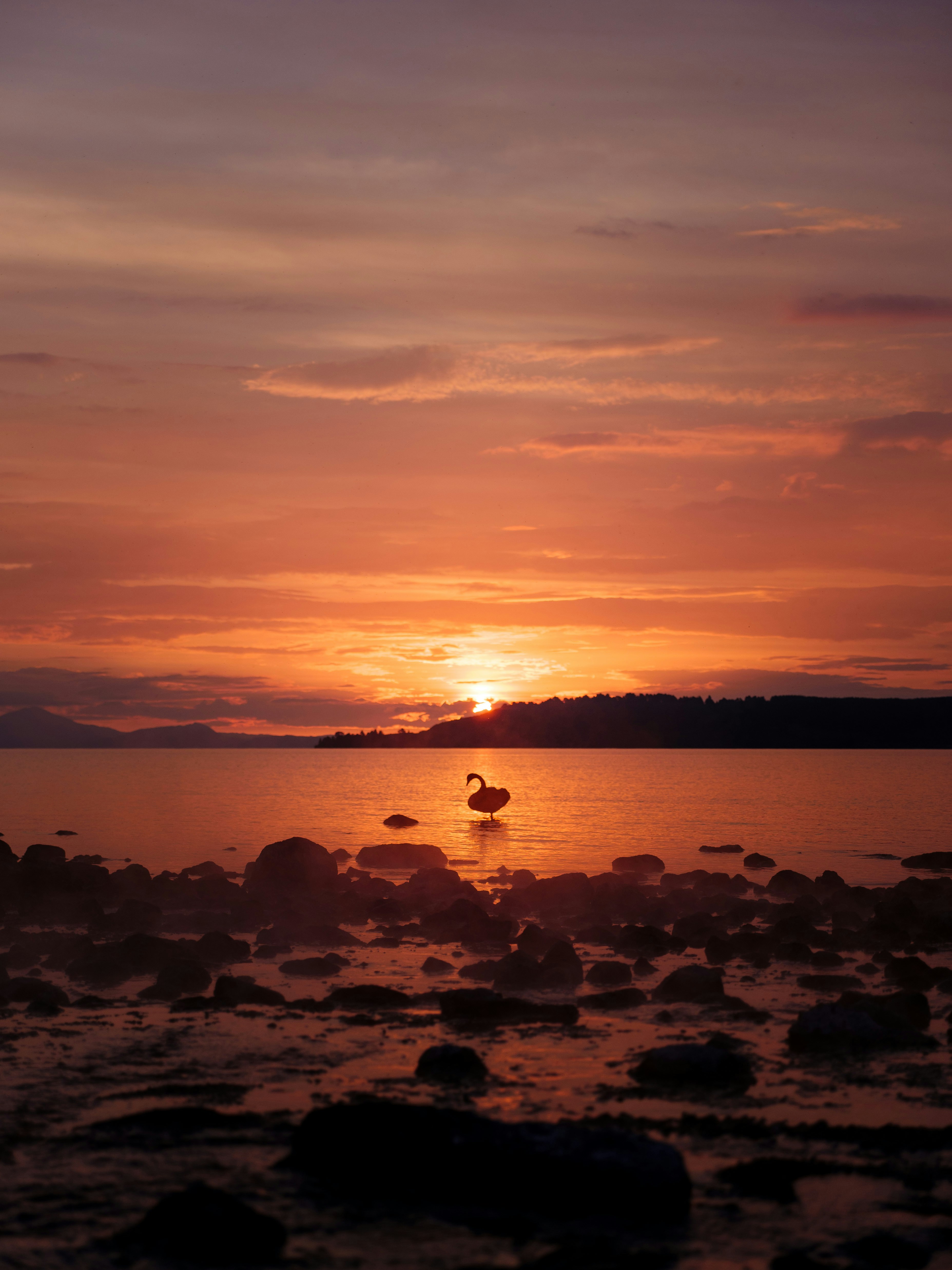 Waipahihi, Taupō, New Zealand